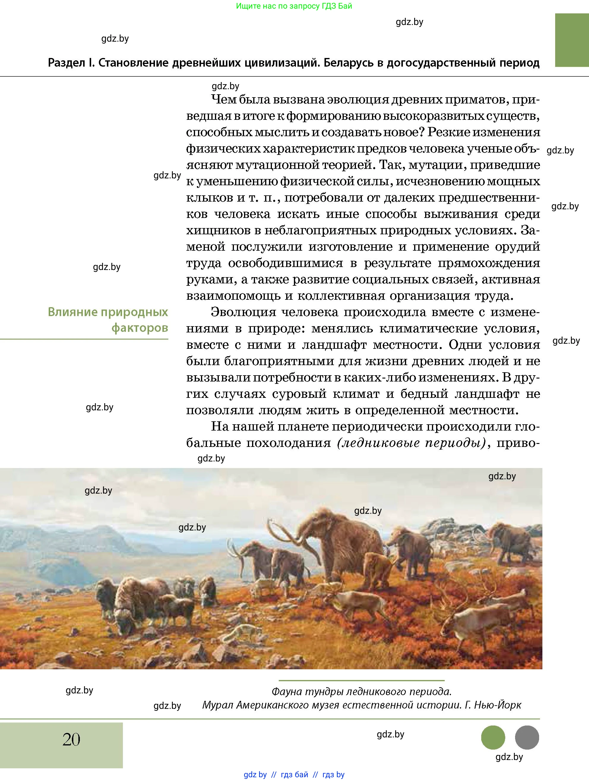 История Беларуси (Гісторыя Беларусі), 10 класс Учебник, авторы: Кохановский Александр Генадьевич, Кошелев Владимир Сергеевич, Темушев Степан Николаевич, Черепко С А, Белозорович В А, Матюшевская М И, Риер Я Г, Ходин С Н, издательство Издательский центр БГУ, Минск, 2024, бежевого цвета, страница 20