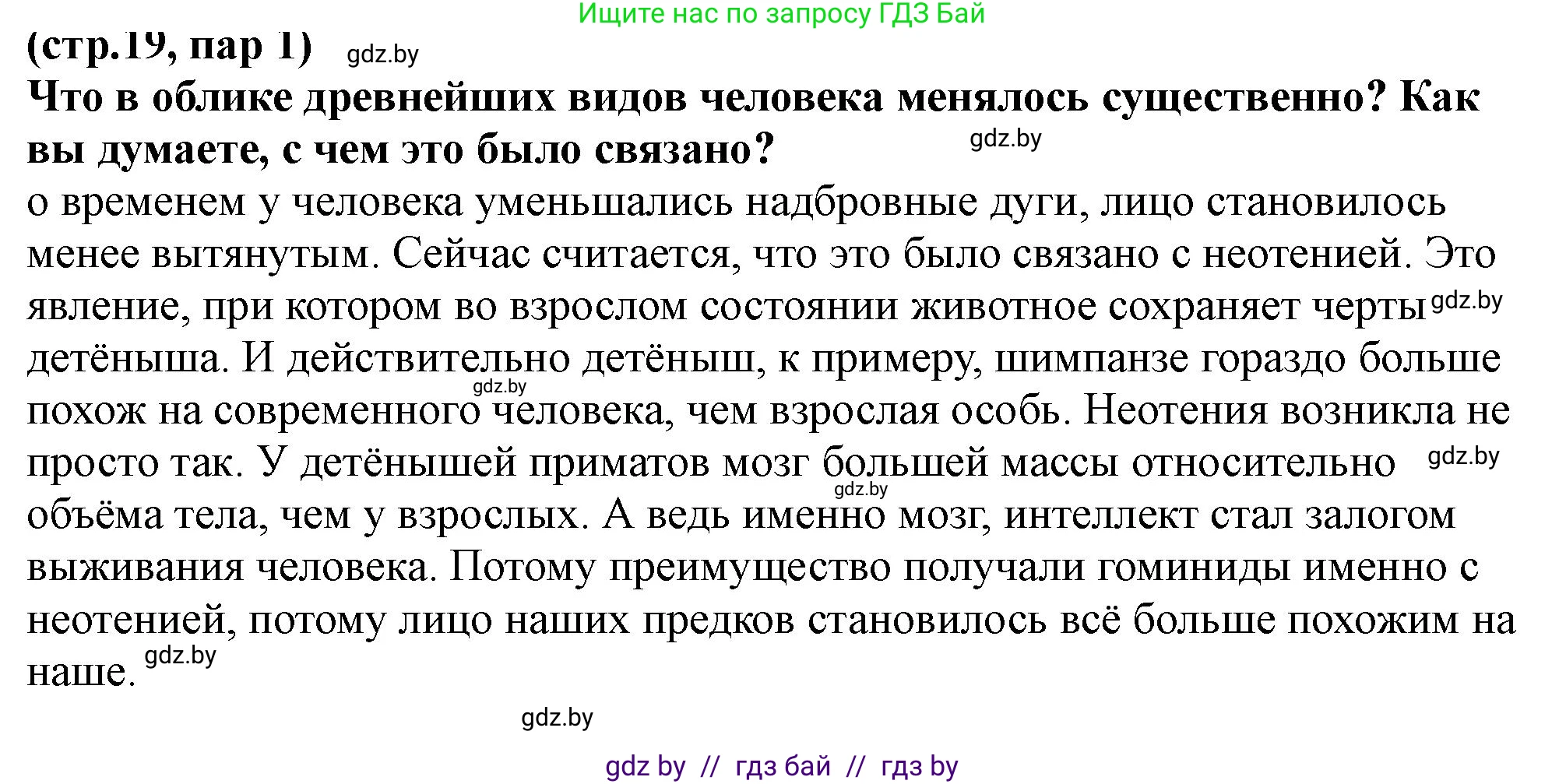 История Беларуси (Гісторыя Беларусі), 10 класс Учебник, авторы: Кохановский Александр Генадьевич, Кошелев Владимир Сергеевич, Темушев Степан Николаевич, Черепко С А, Белозорович В А, Матюшевская М И, Риер Я Г, Ходин С Н, издательство Издательский центр БГУ, Минск, 2024, бежевого цвета, Часть 1, страница 19, Решение