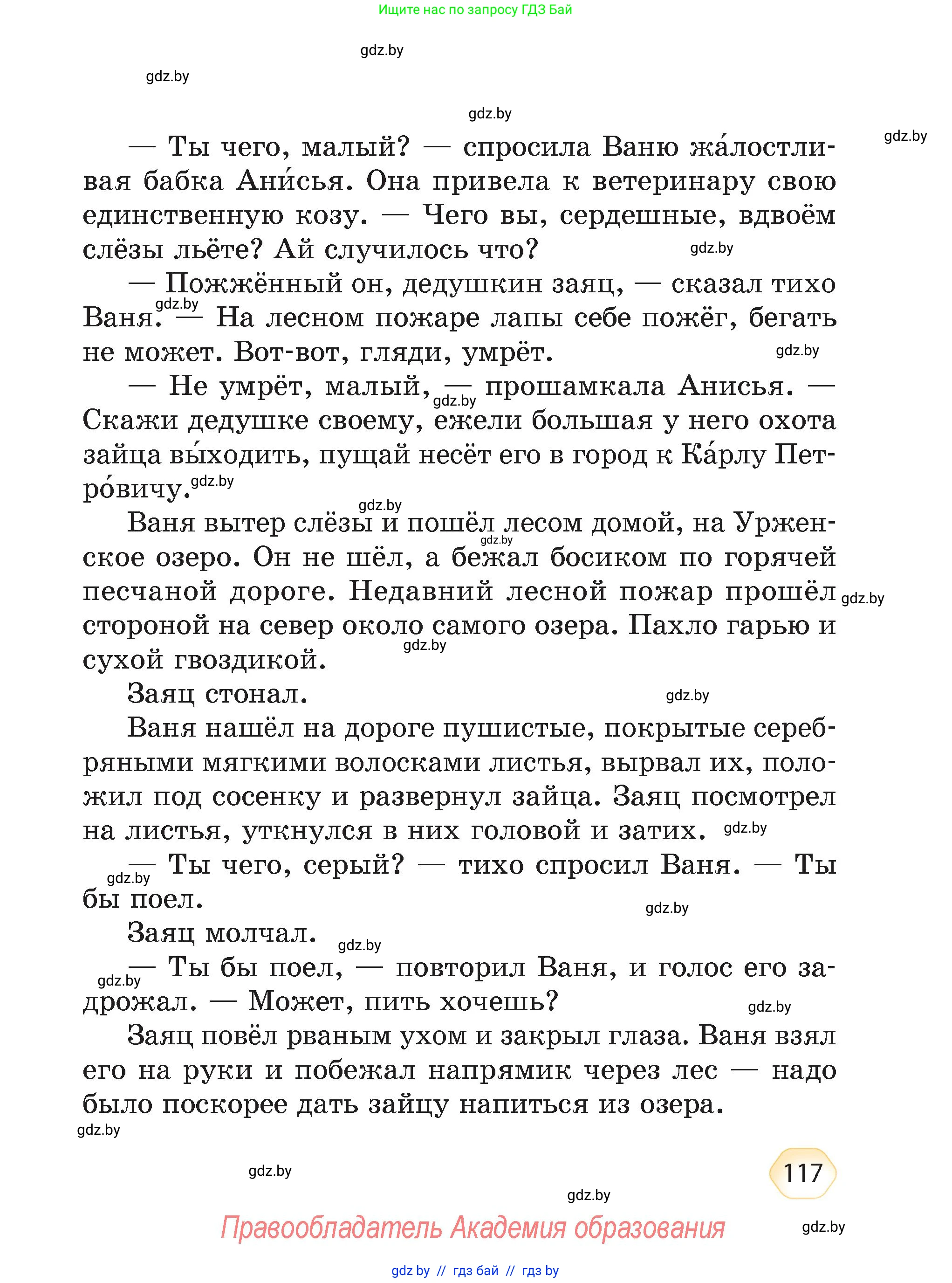 Литературное чтение, 4 класс Учебник, авторы: Воропаева Валентина Степановна, Куцанова Татьяна Степановна, Стремок Ирина Михайловна, издательство Академия образования, Минск, 2025, жёлтого цвета, страница 117