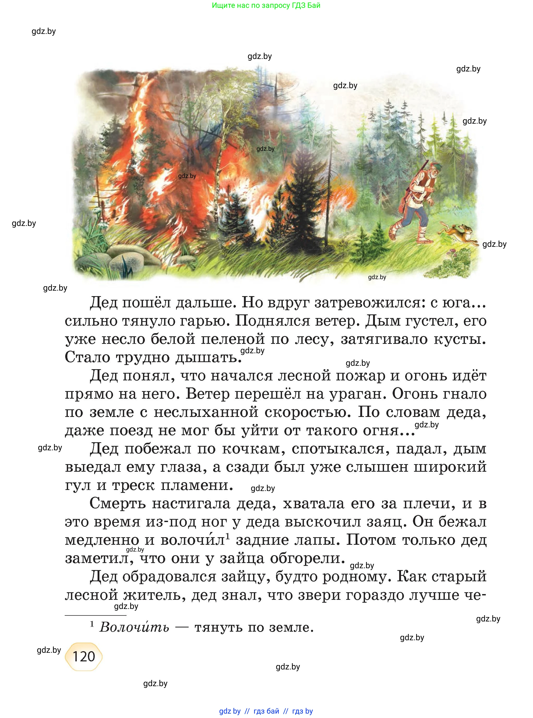 Литературное чтение, 4 класс Учебник, авторы: Воропаева Валентина Степановна, Куцанова Татьяна Степановна, Стремок Ирина Михайловна, издательство Академия образования, Минск, 2025, жёлтого цвета, страница 120