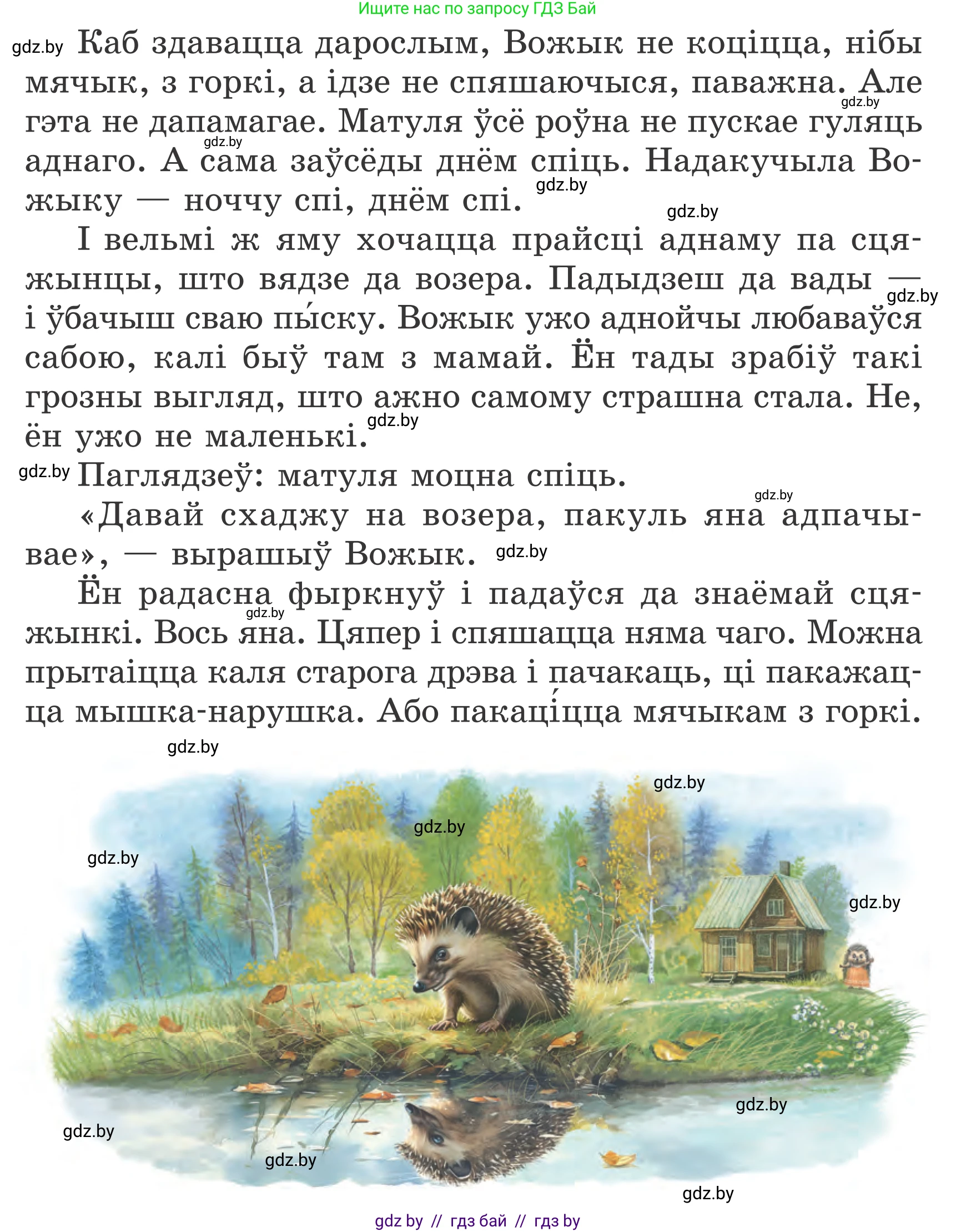 Літаратурнае чытанне, 4 класс Учебник, авторы: Жуковіч Мікалай Васільевіч, Праскаловіч Вольга Уладзіміраўна, издательство Нацыянальны інстытут адукацыі, Минск, 2024, зелёного цвета, Часть 2, страница 17, номер 17, Условие