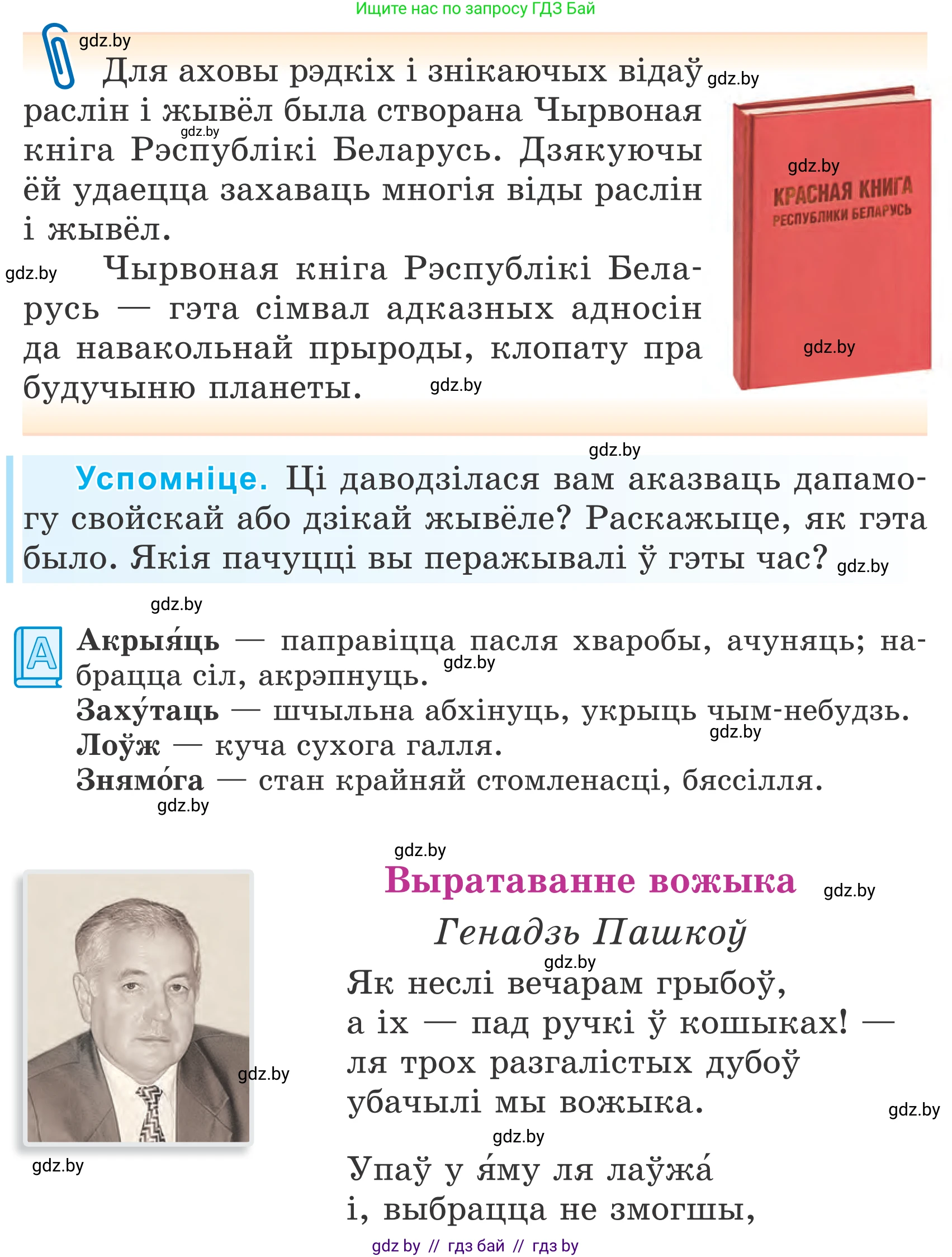 Літаратурнае чытанне, 4 класс Учебник, авторы: Жуковіч Мікалай Васільевіч, Праскаловіч Вольга Уладзіміраўна, издательство Нацыянальны інстытут адукацыі, Минск, 2024, зелёного цвета, Часть 2, страница 62, номер 62, Условие