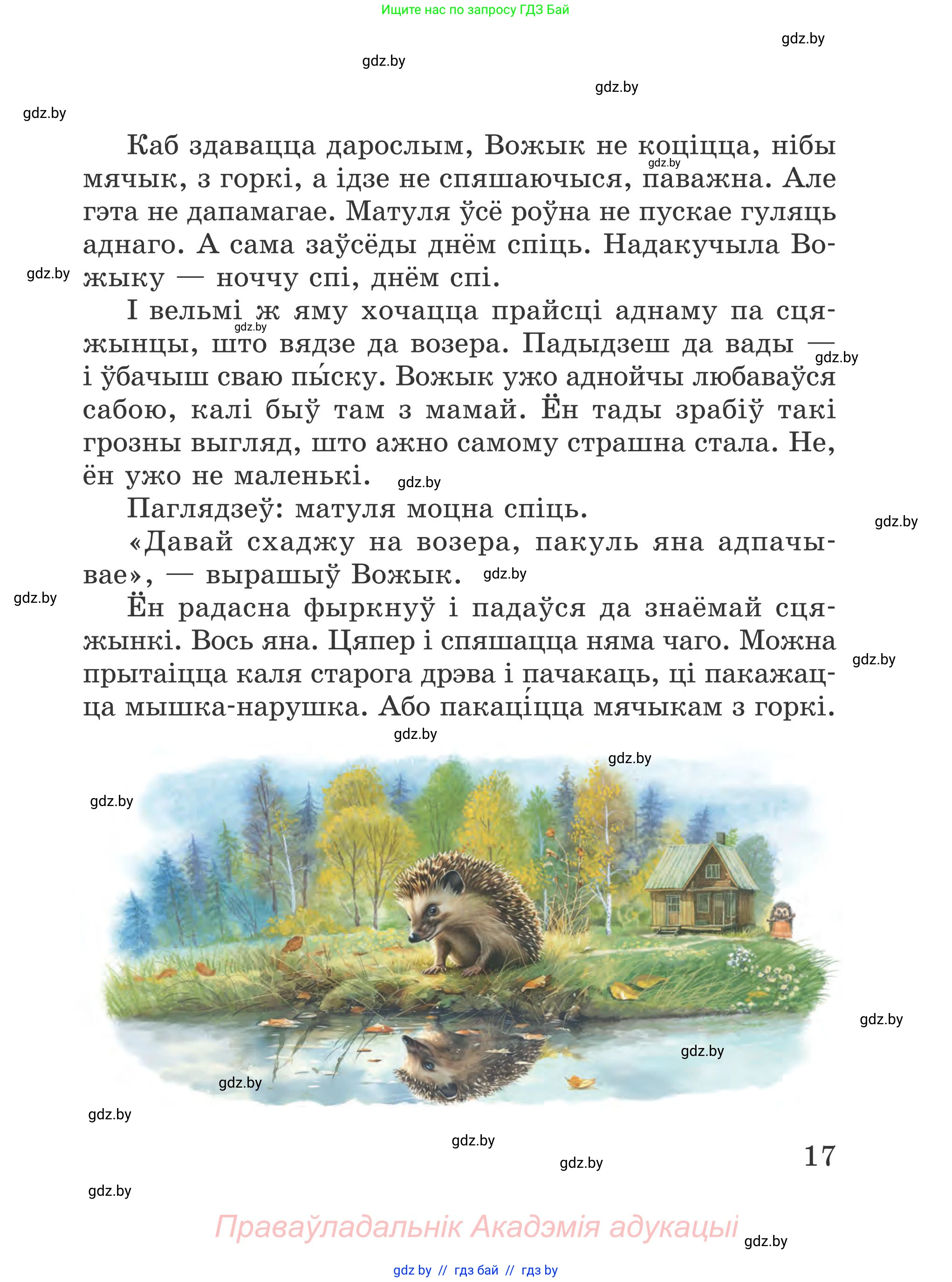 Літаратурнае чытанне, 4 класс Учебник, авторы: Жуковіч Мікалай Васільевіч, Праскаловіч Вольга Уладзіміраўна, издательство Нацыянальны інстытут адукацыі, Минск, 2024, зелёного цвета, Часть 2, страница 17