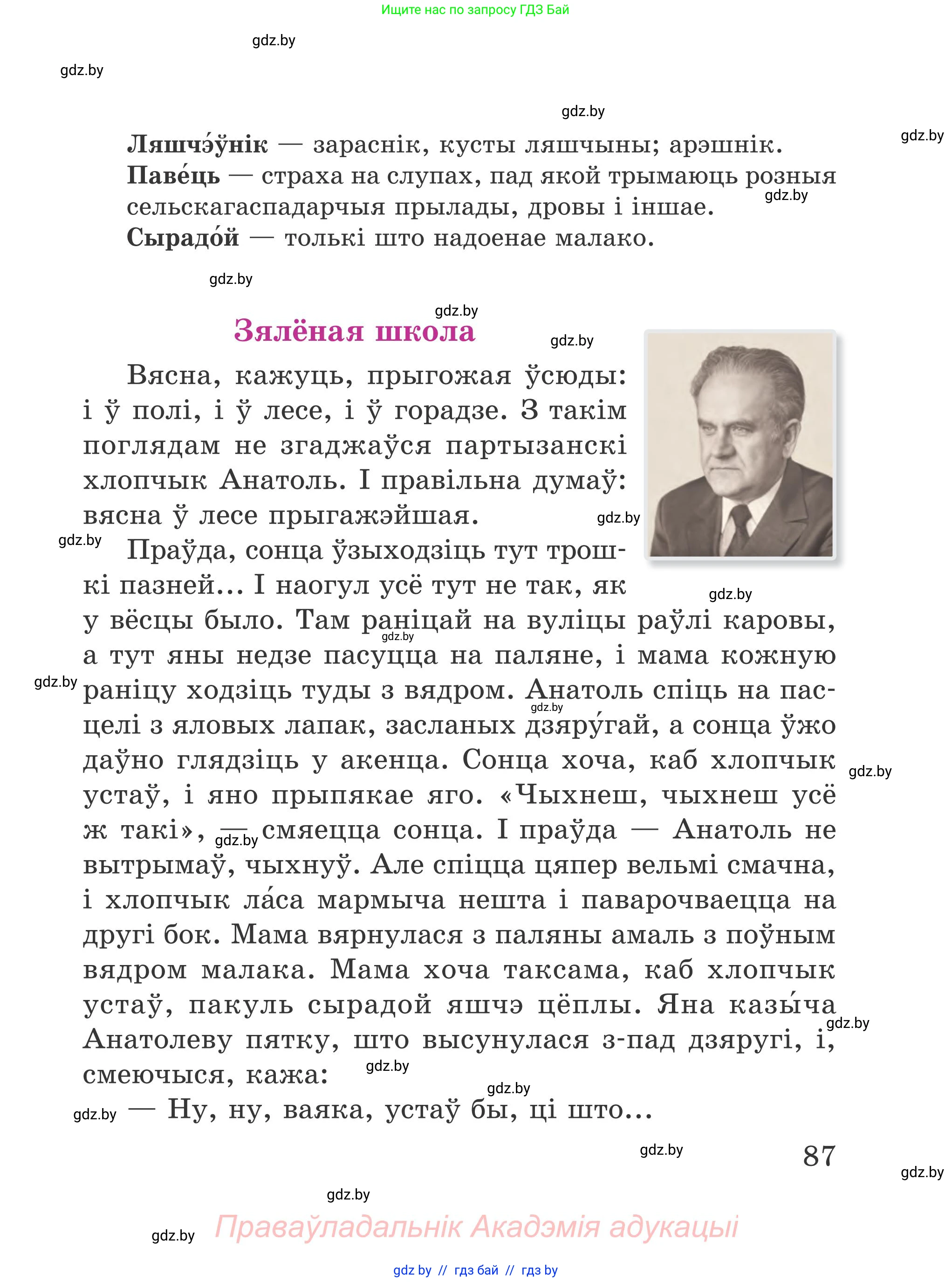 Літаратурнае чытанне, 4 класс Учебник, авторы: Жуковіч Мікалай Васільевіч, Праскаловіч Вольга Уладзіміраўна, издательство Нацыянальны інстытут адукацыі, Минск, 2024, зелёного цвета, Часть 2, страница 87