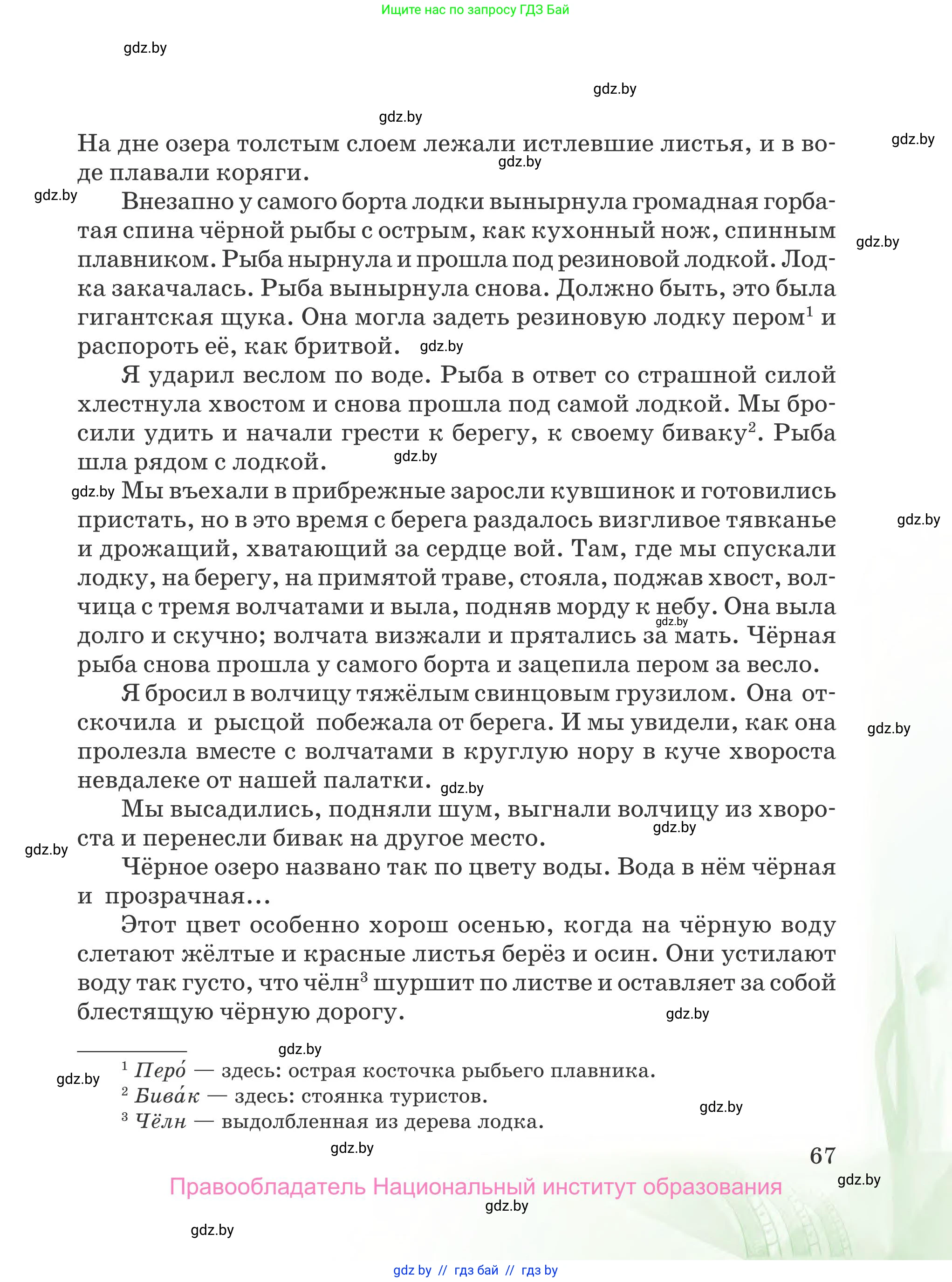 Русская литература, 5 класс Учебник, авторы: Мушинская Тамара Фёдоровна, Перевозная Евгения Васильевна, Каратай Светлана Николаевна, Гаранина Алла Ивановна, издательство Национальный институт образования, Минск, 2019, розового цвета, страница 67