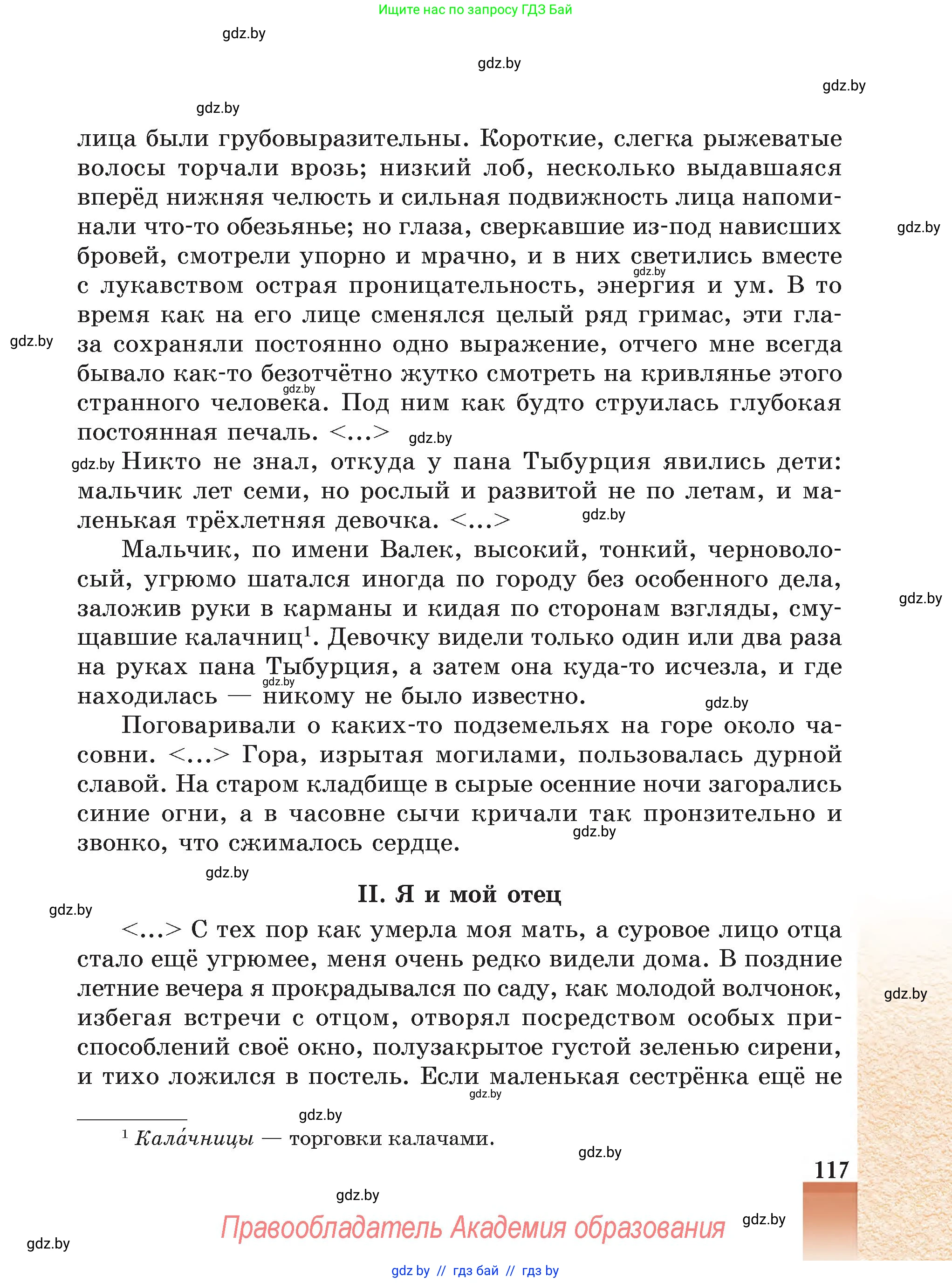 Русская литература, 5 класс Учебник, авторы: Мушинская Тамара Фёдоровна, Перевозная Евгения Васильевна, Каратай Светлана Николаевна, Гаранина Алла Ивановна, Монич И В, издательство Академия образования, Минск, 2025, бежевого цвета, страница 117