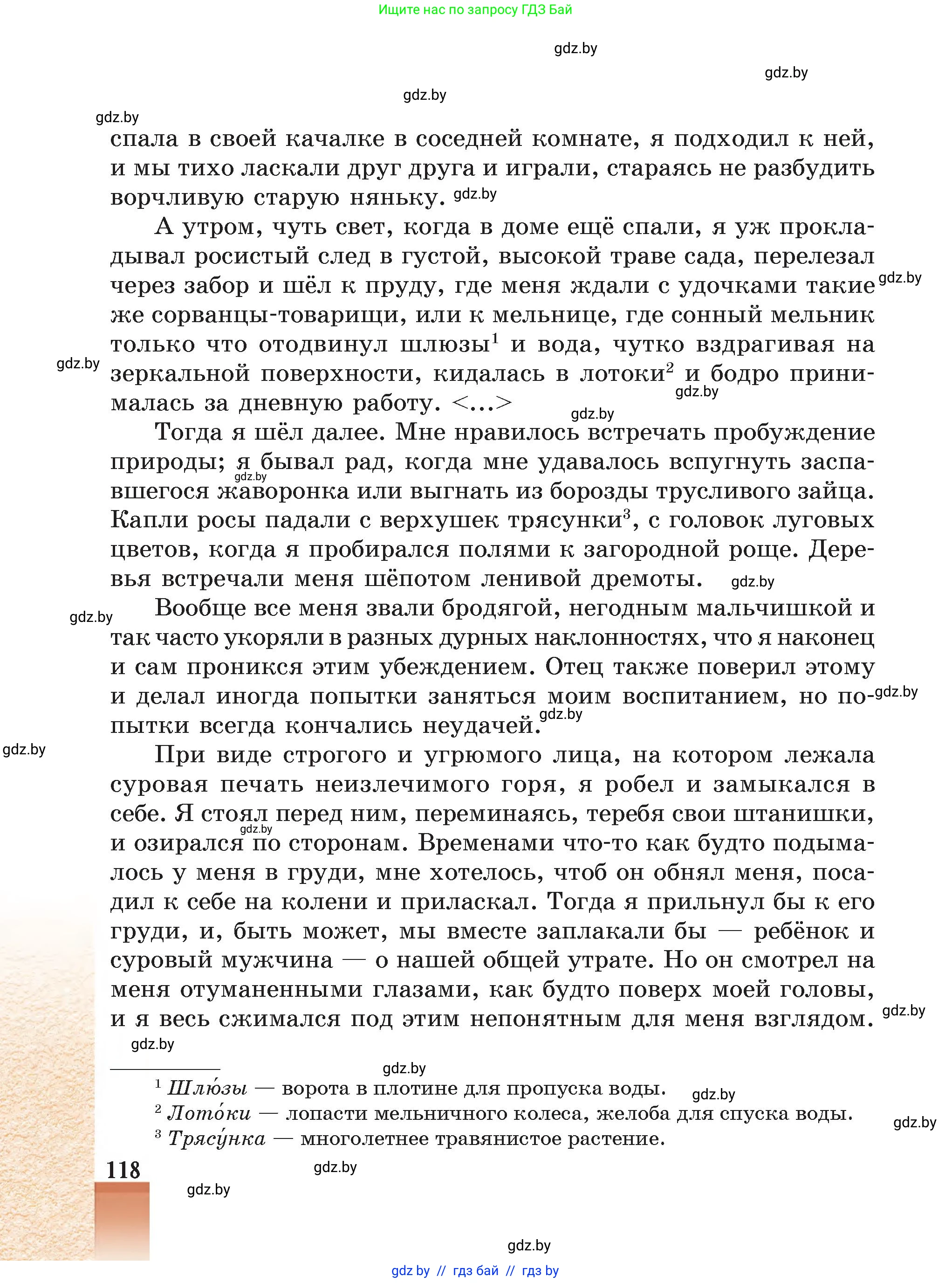 Русская литература, 5 класс Учебник, авторы: Мушинская Тамара Фёдоровна, Перевозная Евгения Васильевна, Каратай Светлана Николаевна, Гаранина Алла Ивановна, Монич И В, издательство Академия образования, Минск, 2025, бежевого цвета, страница 118