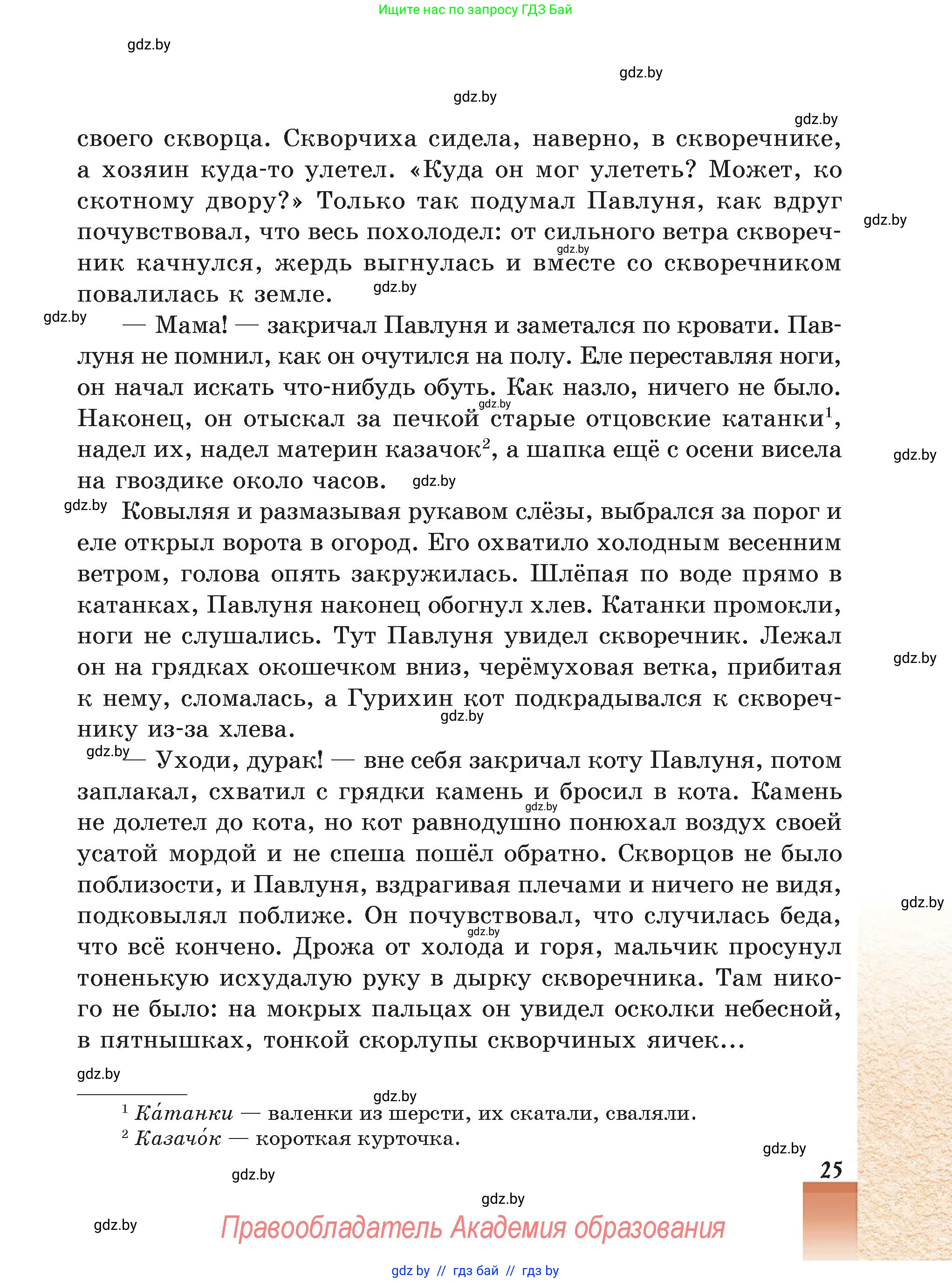 Русская литература, 5 класс Учебник, авторы: Мушинская Тамара Фёдоровна, Перевозная Евгения Васильевна, Каратай Светлана Николаевна, Гаранина Алла Ивановна, Монич И В, издательство Академия образования, Минск, 2025, бежевого цвета, страница 25
