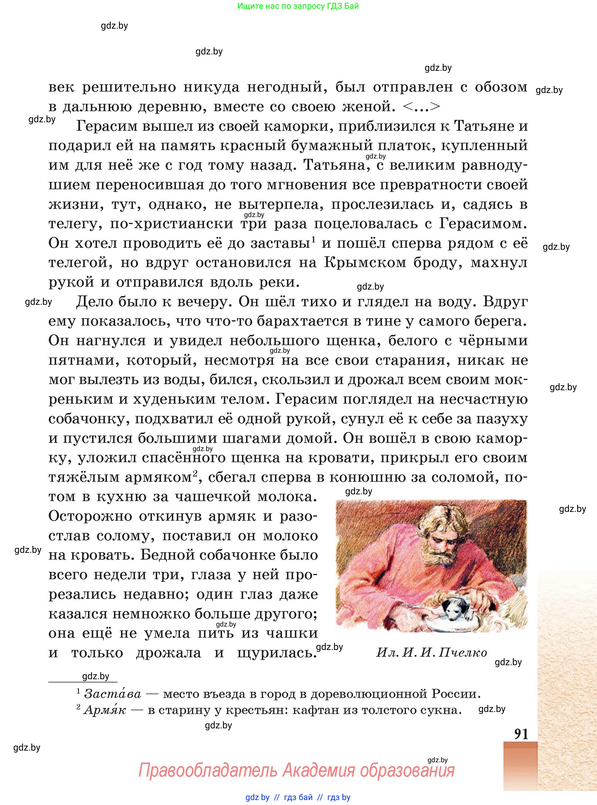 Русская литература, 5 класс Учебник, авторы: Мушинская Тамара Фёдоровна, Перевозная Евгения Васильевна, Каратай Светлана Николаевна, Гаранина Алла Ивановна, Монич И В, издательство Академия образования, Минск, 2025, бежевого цвета, страница 91