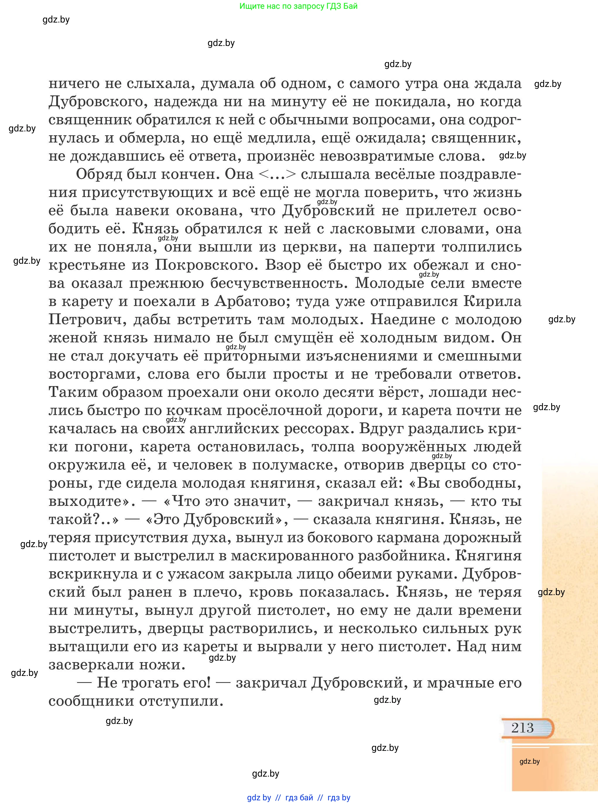 Русская литература, 6 класс Учебник, авторы: Захарова Светлана Николаевна, Юстинская Гюльнара Мансуровна, издательство Национальный институт образования, Минск, 2019, бежевого цвета, страница 213