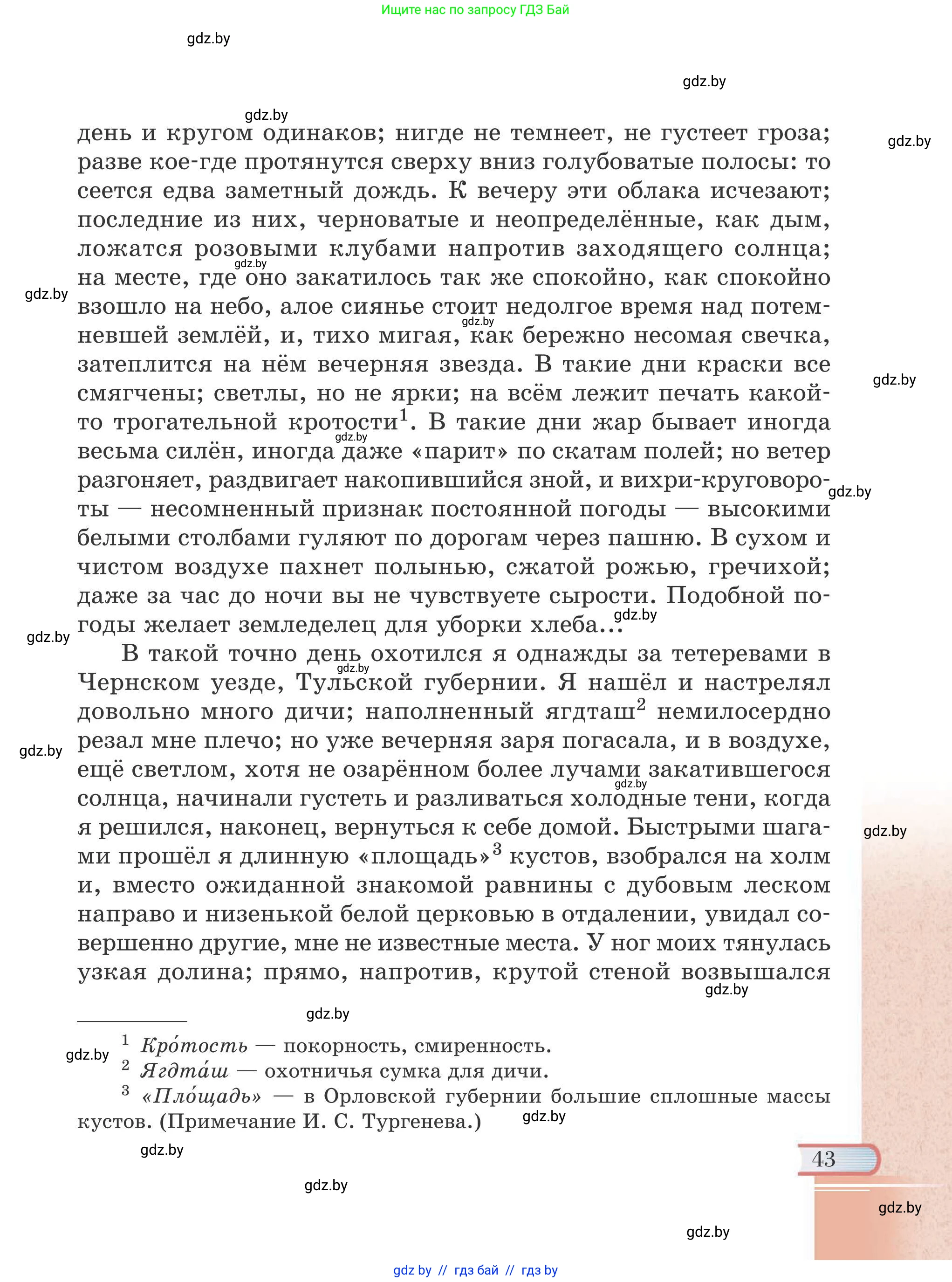 Русская литература, 6 класс Учебник, авторы: Захарова Светлана Николаевна, Юстинская Гюльнара Мансуровна, издательство Национальный институт образования, Минск, 2019, бежевого цвета, страница 43