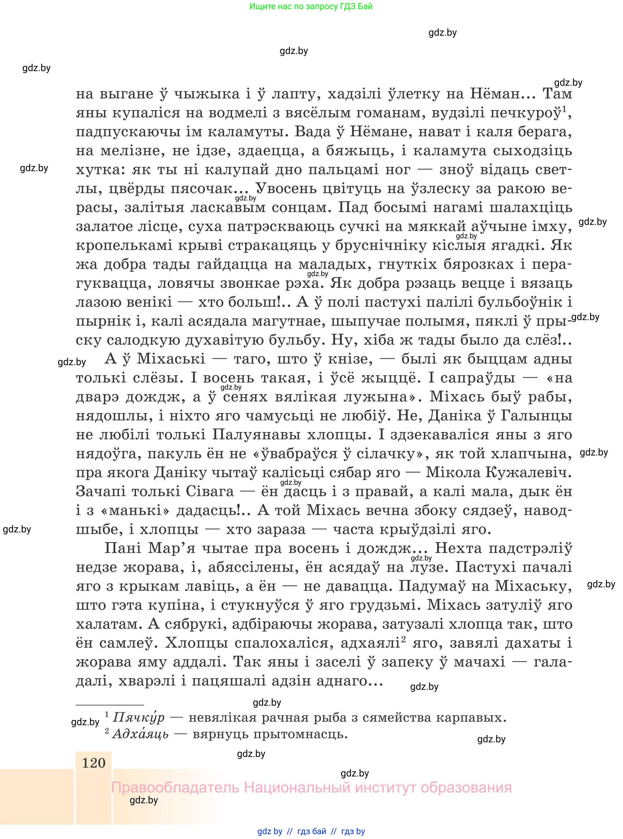 Белорусская литература (Беларуская літаратура), 7 класс Учебник, авторы: Лазарук Міхаіл Арсеньевіч, Логінава Таццяна Уладзіміраўна, Сухава Галіна Анатольеўна, издательство Нацыянальны інстытут адукацыі, Минск, 2023, салатового цвета, страница 120