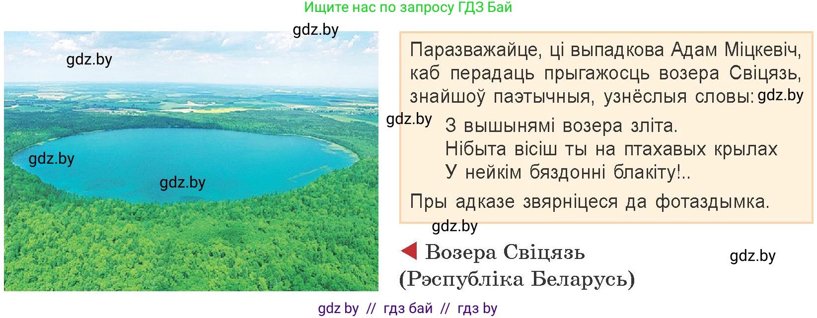 Белорусская литература (Беларуская літаратура), 9 класс Учебник, авторы: Праскаловіч Вольга Уладзіміраўна, Рагойша Вячаслаў Пятровіч, Шамякіна Таццяна Іванаўна, Кабржыцкая Т В, Жуковіч Мікалай Васільевіч, издательство Нацыянальны інстытут адукацыі, Минск, 2019, салатового цвета, страница 58, Условие