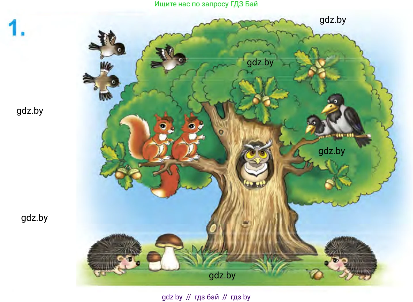 Математика, 1 класс Учебник, авторы: Муравьева Галина Леонидовна, Урбан Мария Анатольевна, издательство Академия образования, Минск, 2024, Часть 1, страница 32, номер 1, Условие