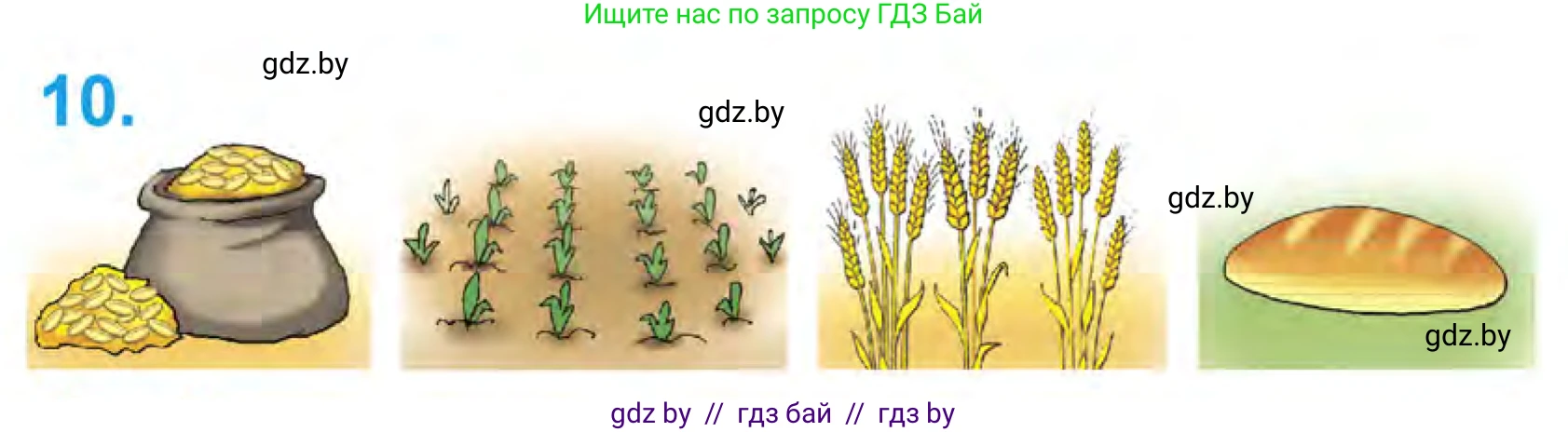 Математика, 1 класс Учебник, авторы: Муравьева Галина Леонидовна, Урбан Мария Анатольевна, издательство Академия образования, Минск, 2024, Часть 1, страница 34, номер 10, Условие