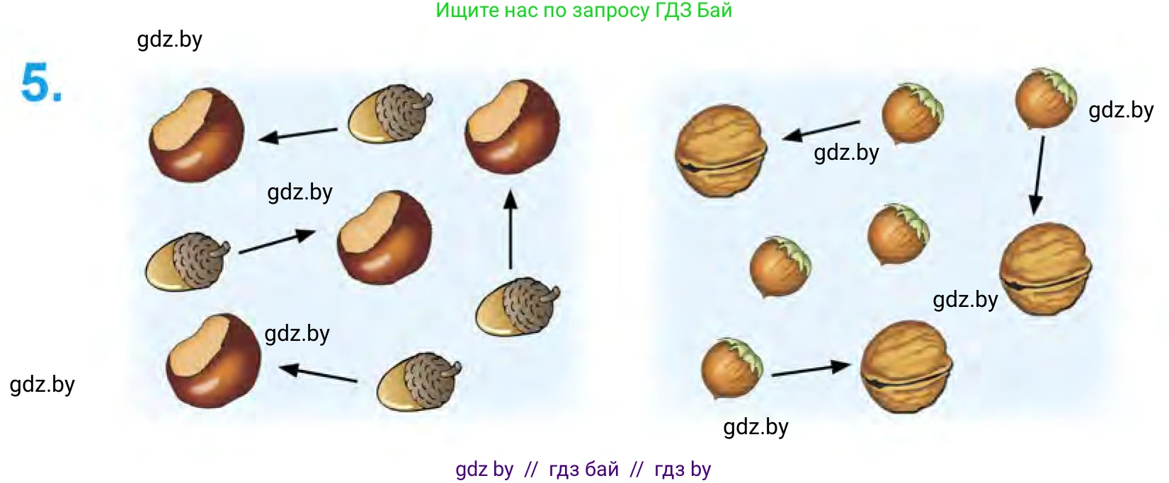 Математика, 1 класс Учебник, авторы: Муравьева Галина Леонидовна, Урбан Мария Анатольевна, издательство Академия образования, Минск, 2024, Часть 1, страница 19, номер 5, Условие