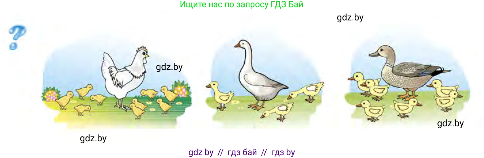 Математика, 1 класс Учебник, авторы: Муравьева Галина Леонидовна, Урбан Мария Анатольевна, издательство Академия образования, Минск, 2024, Часть 1, страница 21, Условие