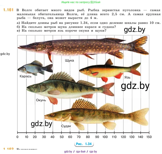 Математика, 5 класс Учебник, авторы: Виленкин Наум Яковлевич, Жохов Владимир Иванович, Чесноков Александр Семёнович, Александрова Лилия Александровна, Шварцбурд Семён Исаакович, издательство Просвещение, Москва, 2023, белого цвета, Часть 1, страница 32, номер 1.161, Условие