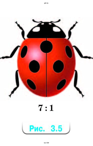Определите размеры божьей коровки по рисунку 3.5