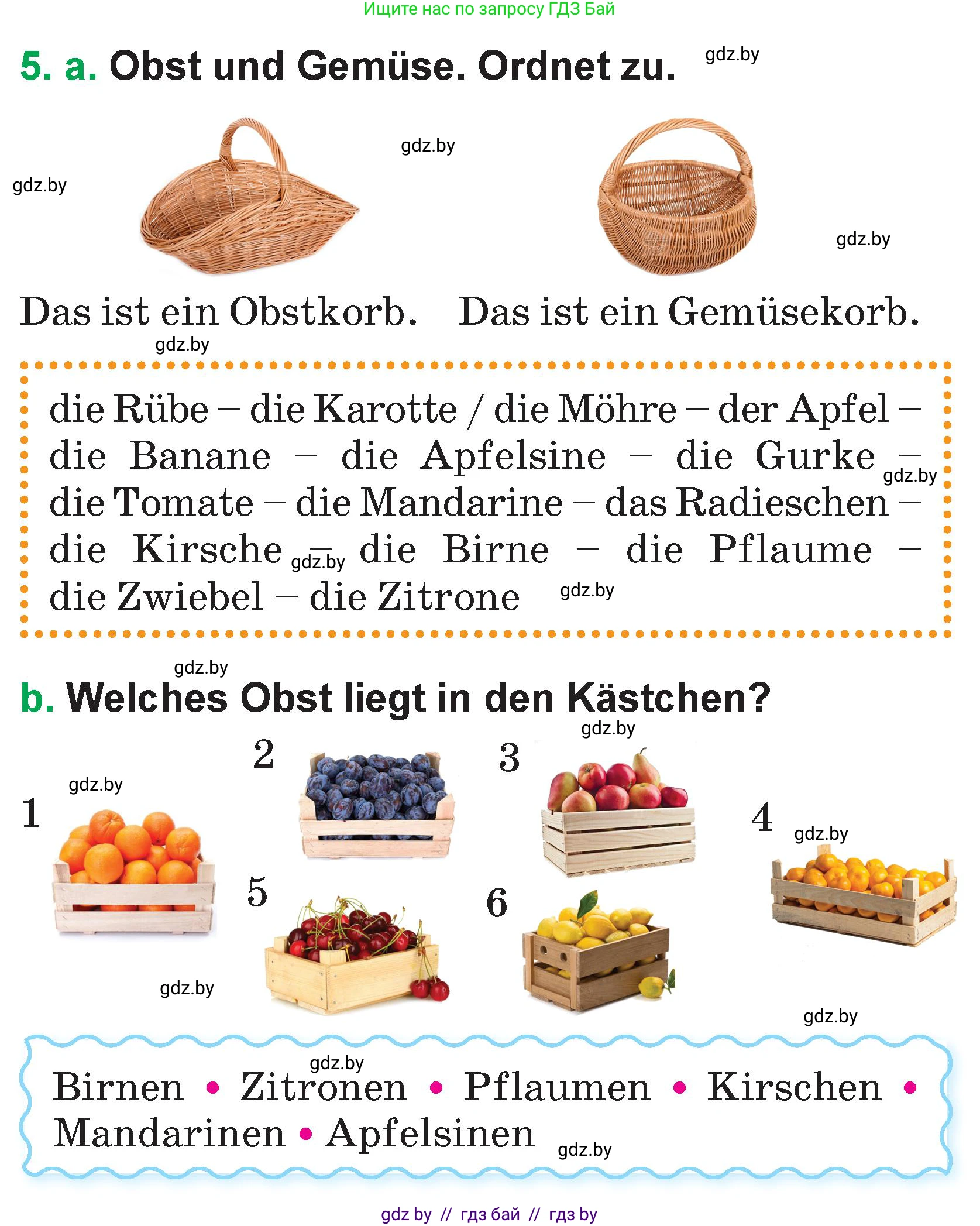 Немецкий язык (Deutsch), 3 класс Учебник (Schülerbuch), авторы: Будько Антонина Филипповна (Budjko Antonina), Урбанович Инна Ювинальевна (Urbanowitsch Ina), издательство Вышэйшая школа, Минск, 2018, бирюзового цвета, Часть 2, страница 11, номер 5, Условие