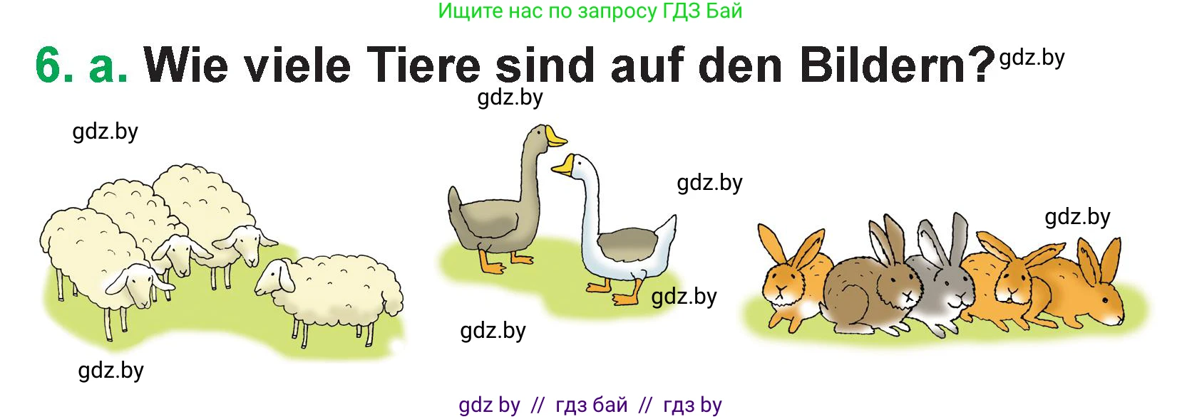 Немецкий язык (Deutsch), 3 класс Учебник (Schülerbuch), авторы: Будько Антонина Филипповна (Budjko Antonina), Урбанович Инна Ювинальевна (Urbanowitsch Ina), издательство Вышэйшая школа, Минск, 2018, бирюзового цвета, Часть 2, страница 62, номер 6, Условие