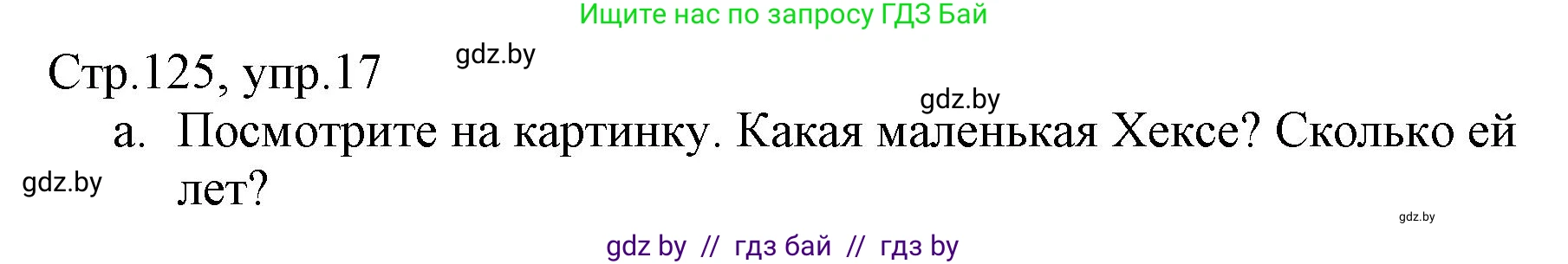 Немецкий язык (Deutsch), 3 класс Учебник (Schülerbuch), авторы: Будько Антонина Филипповна (Budjko Antonina), Урбанович Инна Ювинальевна (Urbanowitsch Ina), издательство Вышэйшая школа, Минск, 2018, бирюзового цвета, Часть 1, страница 125, номер 17, Решение