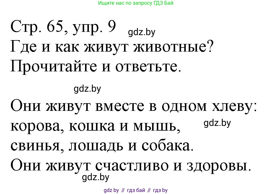 Немецкий язык (Deutsch), 3 класс Учебник (Schülerbuch), авторы: Будько Антонина Филипповна (Budjko Antonina), Урбанович Инна Ювинальевна (Urbanowitsch Ina), издательство Вышэйшая школа, Минск, 2018, бирюзового цвета, Часть 2, страница 65, номер 9, Решение