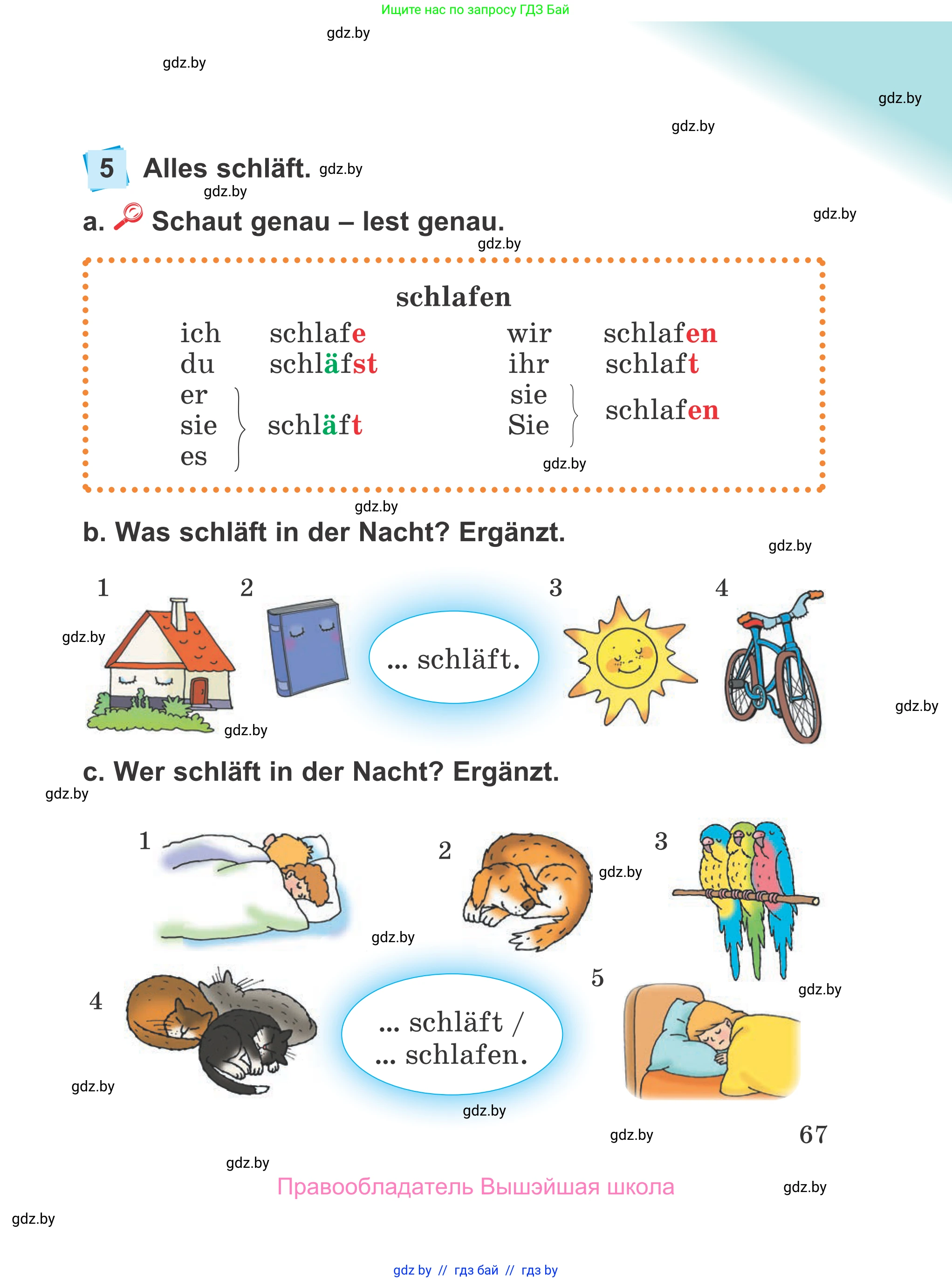 Немецкий язык (Deutsch), 4 класс Учебник (Schülerbuch), авторы: Будько Антонина Филипповна (Budjko Antonina), Урбанович Инна Ювинальевна (Urbanowitsch Ina), издательство Вышэйшая школа, Минск, 2019, жёлтого цвета, Часть 1, страница 67