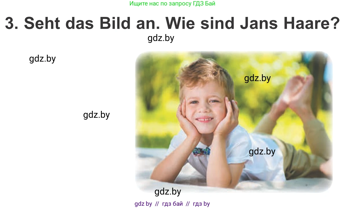 Немецкий язык (Deutsch), 4 класс Учебник (Schülerbuch), авторы: Будько Антонина Филипповна (Budjko Antonina), Урбанович Инна Ювинальевна (Urbanowitsch Ina), издательство Вышэйшая школа, Минск, 2019, жёлтого цвета, Часть 1, страница 127, номер 3, Условие