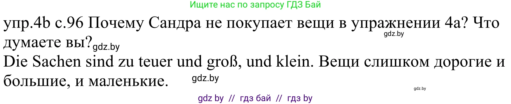 Немецкий язык (Deutsch), 4 класс Учебник (Schülerbuch), авторы: Будько Антонина Филипповна (Budjko Antonina), Урбанович Инна Ювинальевна (Urbanowitsch Ina), издательство Вышэйшая школа, Минск, 2019, жёлтого цвета, Часть 2, страница 96, номер 4b, Решение