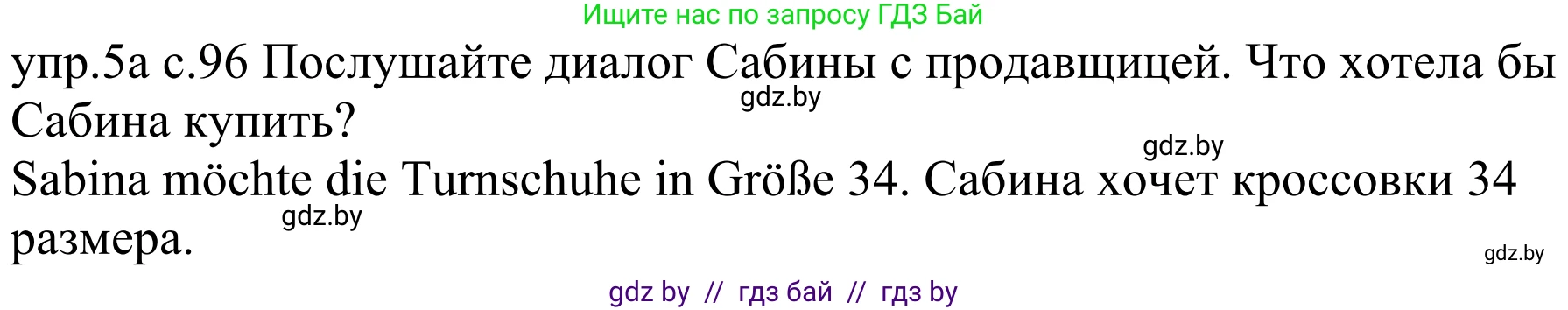 Немецкий язык (Deutsch), 4 класс Учебник (Schülerbuch), авторы: Будько Антонина Филипповна (Budjko Antonina), Урбанович Инна Ювинальевна (Urbanowitsch Ina), издательство Вышэйшая школа, Минск, 2019, жёлтого цвета, Часть 2, страница 96, номер 5a, Решение