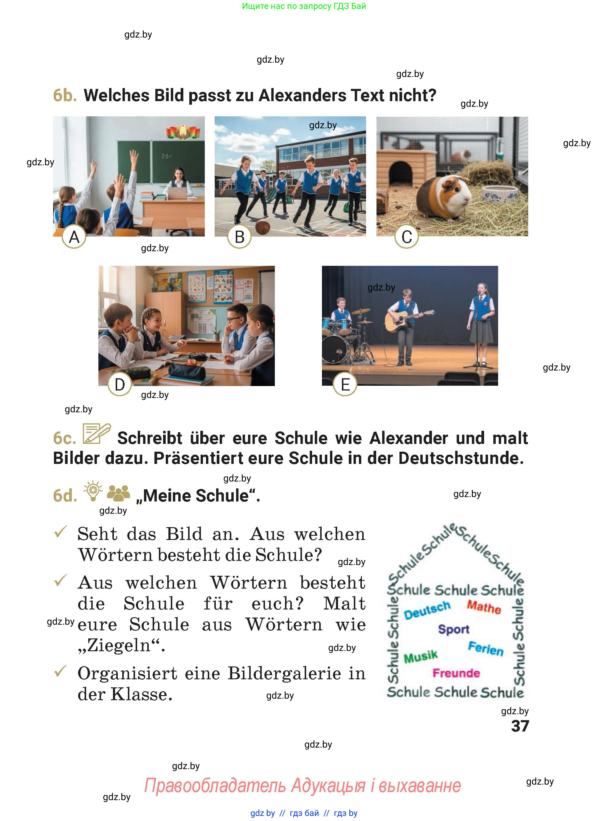 Немецкий язык (Deutsch), 4 класс Учебник (Schülerbuch), авторы: Будько Антонина Филипповна (Budjko Antonina), Кохановская Анна Леонидовна, издательство Адукацыя i выхаванне, Минск, 2026, голубого цвета, страница 37
