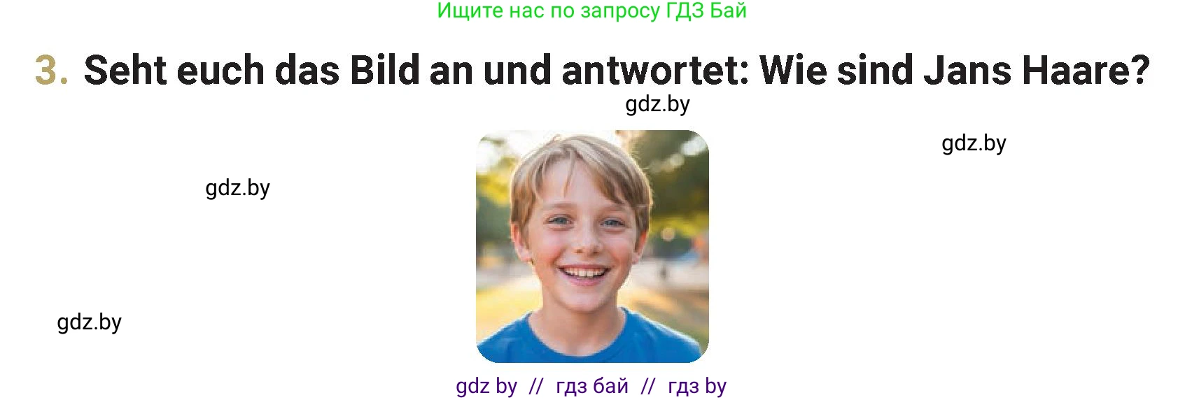 Немецкий язык (Deutsch), 4 класс Учебник (Schülerbuch), авторы: Будько Антонина Филипповна (Budjko Antonina), Кохановская Анна Леонидовна, издательство Адукацыя i выхаванне, Минск, 2026, голубого цвета, страница 119, номер 3, Условие