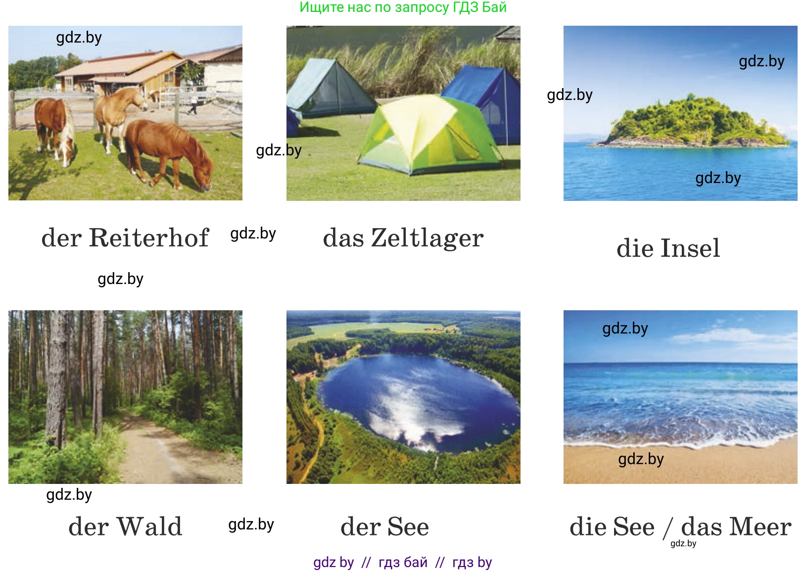 Немецкий язык (Deutsch), 5 класс Учебник (Schülerbuch), авторы: Будько Антонина Филипповна (Budjko Antonina), Урбанович Инна Ювинальевна (Urbanowitsch Ina), издательство Вышэйшая школа, Минск, 2020, жёлтого цвета, Часть 1, страница 17, номер 1a, Условие (продолжение 2)