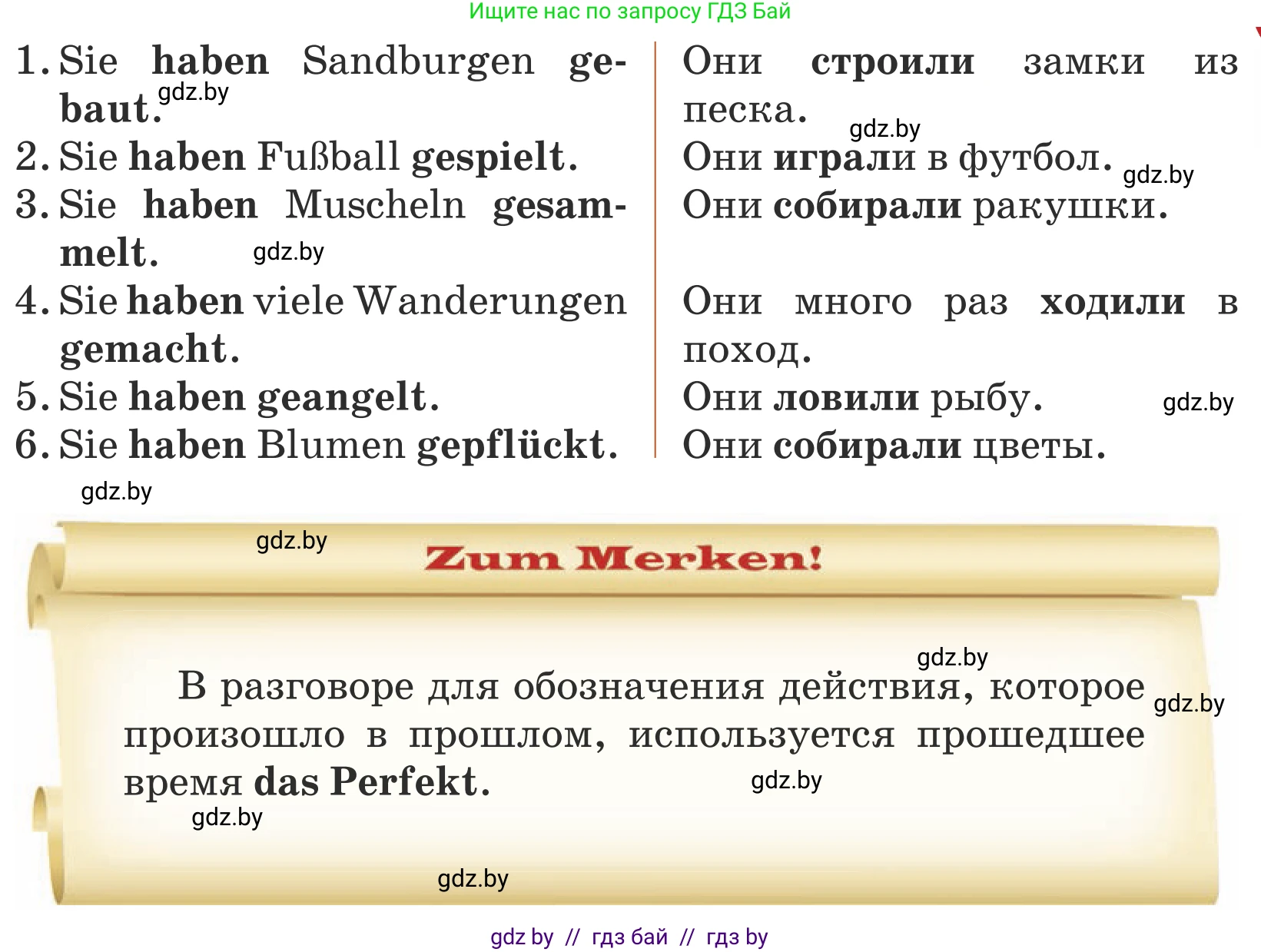 Немецкий язык (Deutsch), 5 класс Учебник (Schülerbuch), авторы: Будько Антонина Филипповна (Budjko Antonina), Урбанович Инна Ювинальевна (Urbanowitsch Ina), издательство Вышэйшая школа, Минск, 2020, жёлтого цвета, Часть 1, страница 30, номер 2b, Условие (продолжение 2)