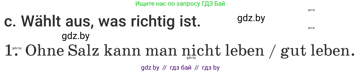 Немецкий язык (Deutsch), 5 класс Учебник (Schülerbuch), авторы: Будько Антонина Филипповна (Budjko Antonina), Урбанович Инна Ювинальевна (Urbanowitsch Ina), издательство Вышэйшая школа, Минск, 2020, жёлтого цвета, Часть 1, страница 59, номер 11c, Условие