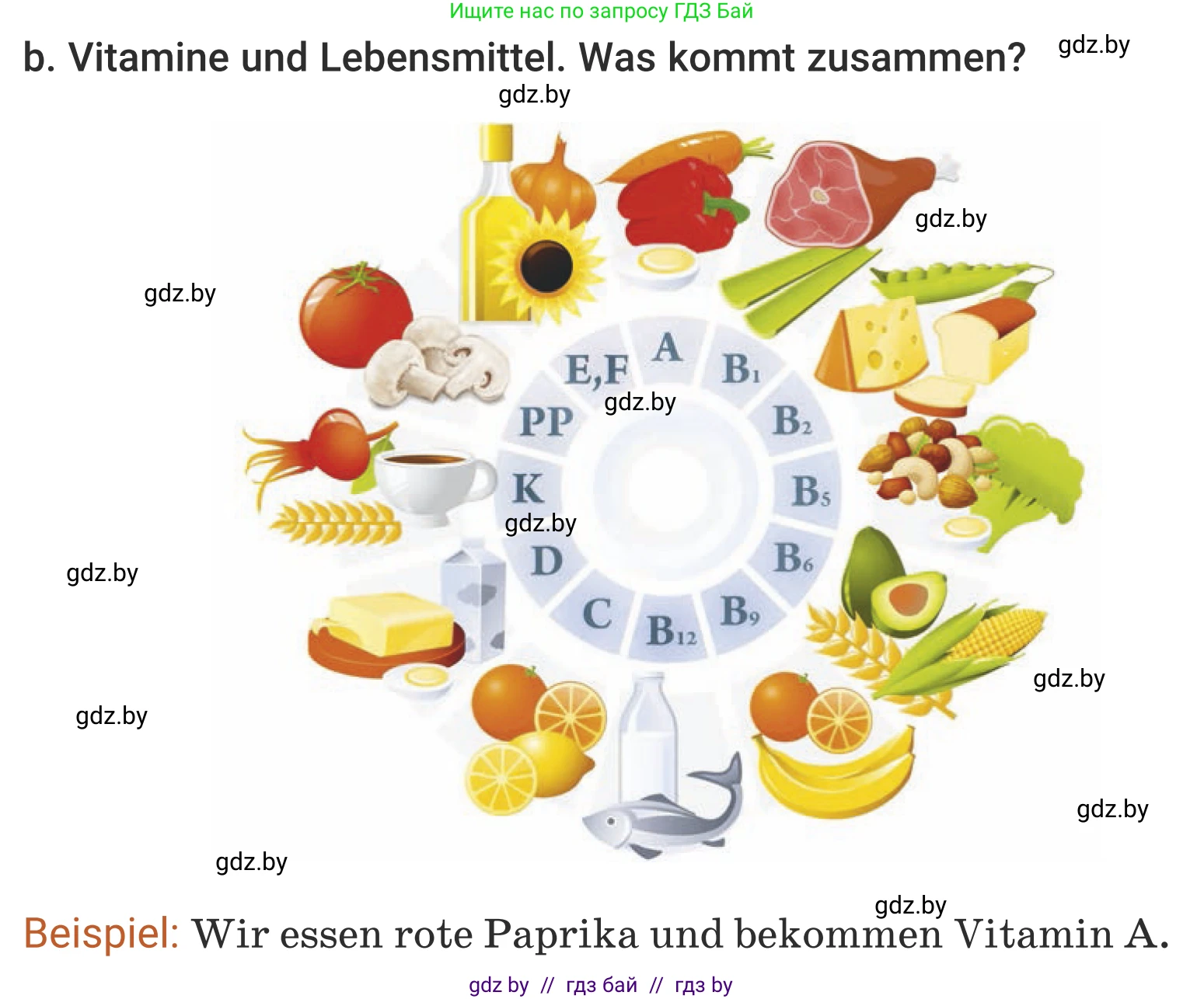 Немецкий язык (Deutsch), 5 класс Учебник (Schülerbuch), авторы: Будько Антонина Филипповна (Budjko Antonina), Урбанович Инна Ювинальевна (Urbanowitsch Ina), издательство Вышэйшая школа, Минск, 2020, жёлтого цвета, Часть 1, страница 51, номер 3b, Условие