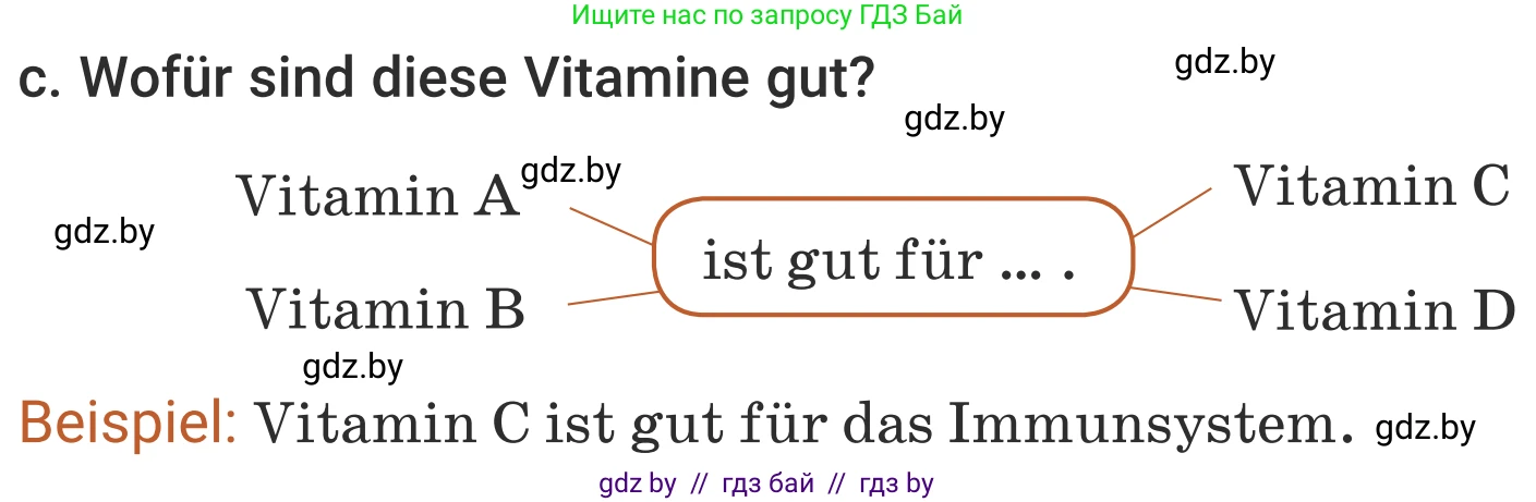 Немецкий язык (Deutsch), 5 класс Учебник (Schülerbuch), авторы: Будько Антонина Филипповна (Budjko Antonina), Урбанович Инна Ювинальевна (Urbanowitsch Ina), издательство Вышэйшая школа, Минск, 2020, жёлтого цвета, Часть 1, страница 51, номер 3c, Условие