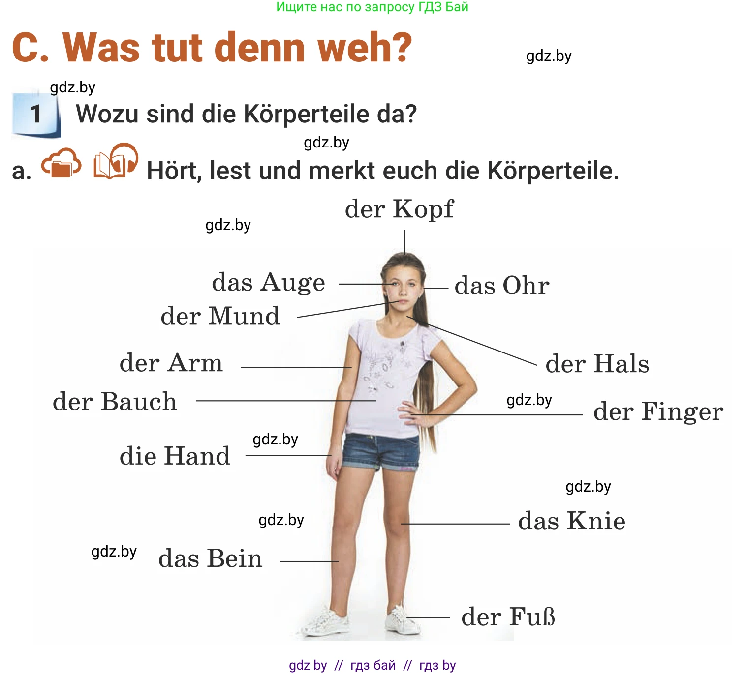 Немецкий язык (Deutsch), 5 класс Учебник (Schülerbuch), авторы: Будько Антонина Филипповна (Budjko Antonina), Урбанович Инна Ювинальевна (Urbanowitsch Ina), издательство Вышэйшая школа, Минск, 2020, жёлтого цвета, Часть 1, страница 75, номер 1a, Условие