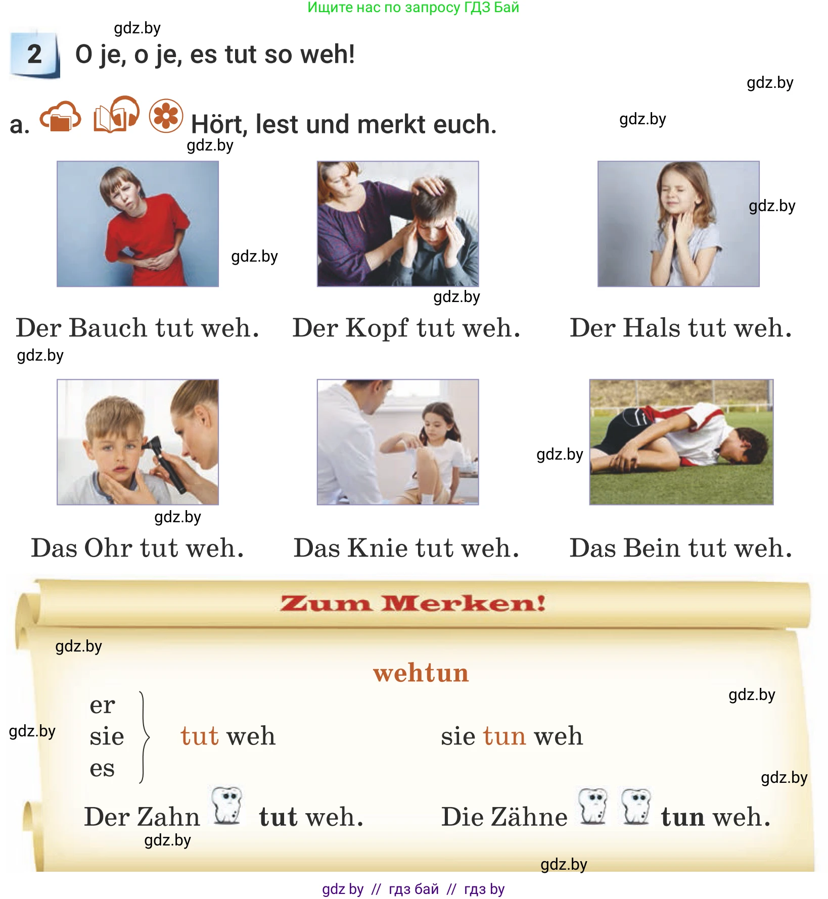 Немецкий язык (Deutsch), 5 класс Учебник (Schülerbuch), авторы: Будько Антонина Филипповна (Budjko Antonina), Урбанович Инна Ювинальевна (Urbanowitsch Ina), издательство Вышэйшая школа, Минск, 2020, жёлтого цвета, Часть 1, страница 77, номер 2a, Условие