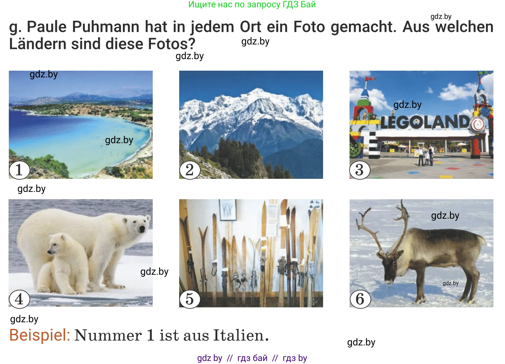 Немецкий язык (Deutsch), 5 класс Учебник (Schülerbuch), авторы: Будько Антонина Филипповна (Budjko Antonina), Урбанович Инна Ювинальевна (Urbanowitsch Ina), издательство Вышэйшая школа, Минск, 2020, жёлтого цвета, Часть 2, страница 95, номер 5g, Условие