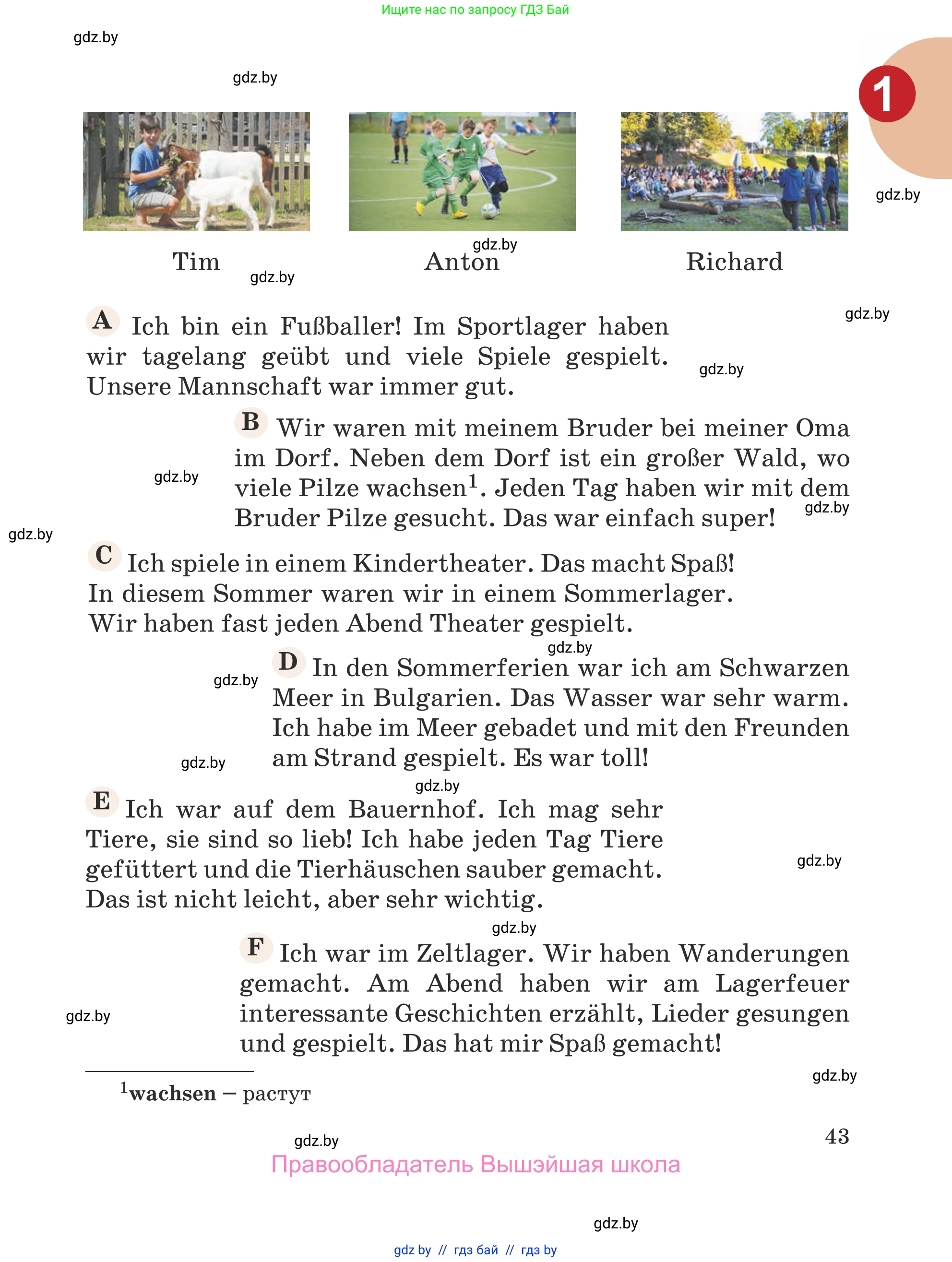 Немецкий язык (Deutsch), 5 класс Учебник (Schülerbuch), авторы: Будько Антонина Филипповна (Budjko Antonina), Урбанович Инна Ювинальевна (Urbanowitsch Ina), издательство Вышэйшая школа, Минск, 2020, жёлтого цвета, страница 43