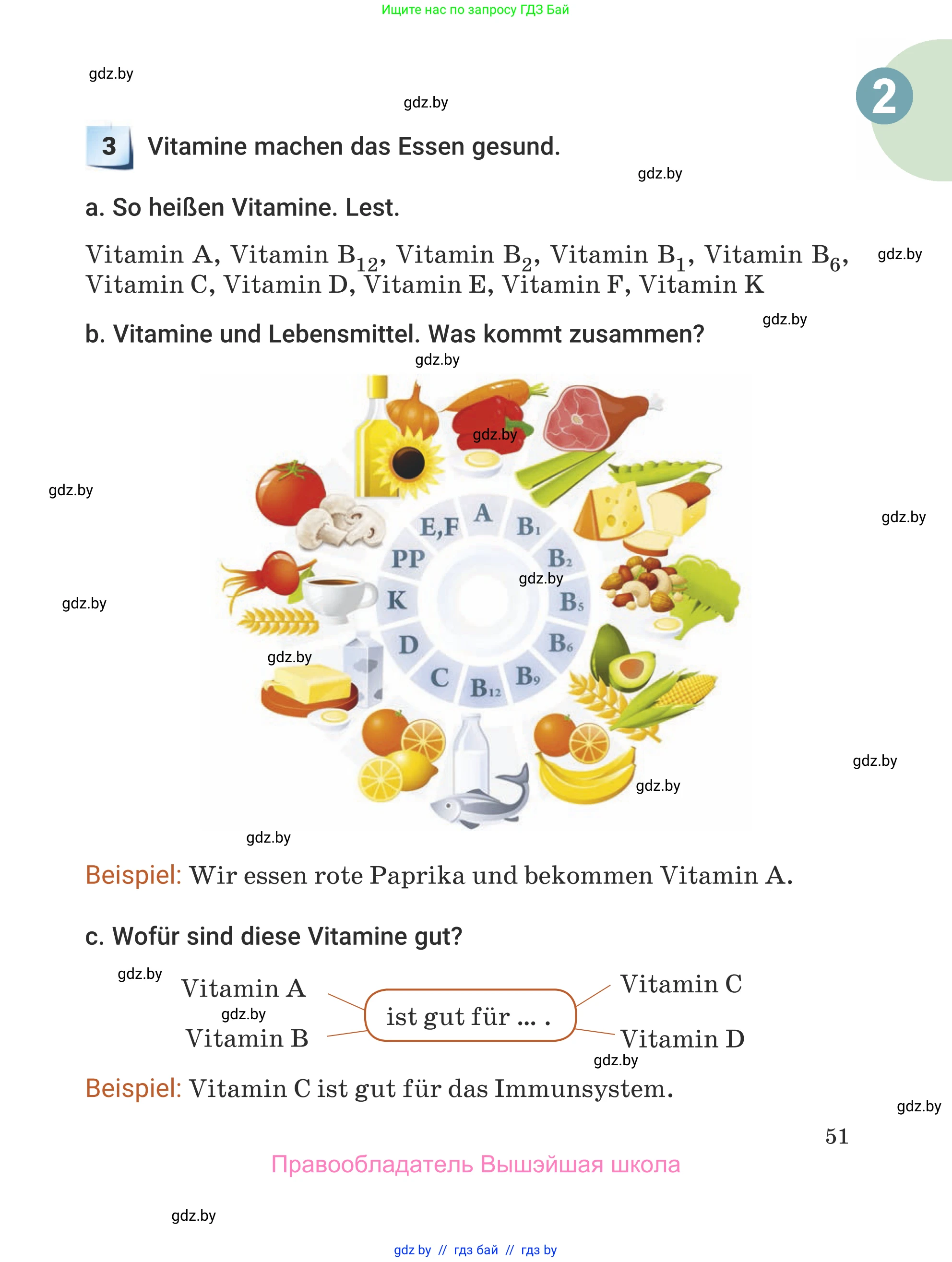 Немецкий язык (Deutsch), 5 класс Учебник (Schülerbuch), авторы: Будько Антонина Филипповна (Budjko Antonina), Урбанович Инна Ювинальевна (Urbanowitsch Ina), издательство Вышэйшая школа, Минск, 2020, жёлтого цвета, Часть 1, страница 51