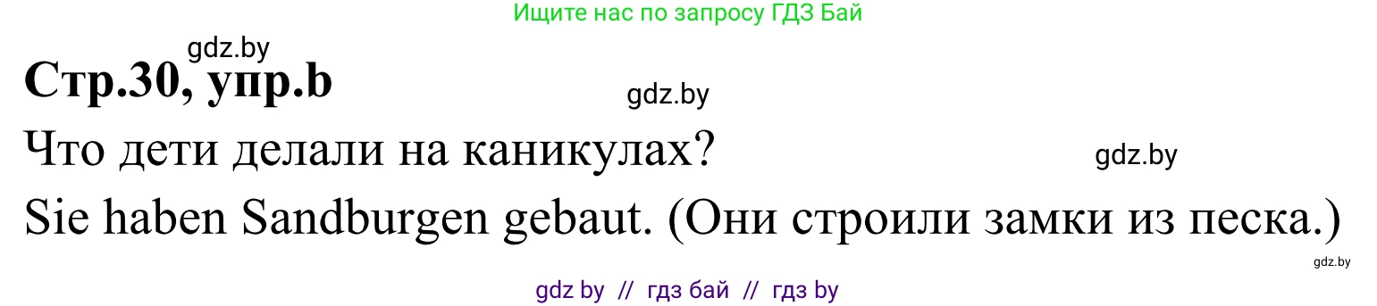 Немецкий язык (Deutsch), 5 класс Учебник (Schülerbuch), авторы: Будько Антонина Филипповна (Budjko Antonina), Урбанович Инна Ювинальевна (Urbanowitsch Ina), издательство Вышэйшая школа, Минск, 2020, жёлтого цвета, Часть 1, страница 30, номер 2b, Решение 2