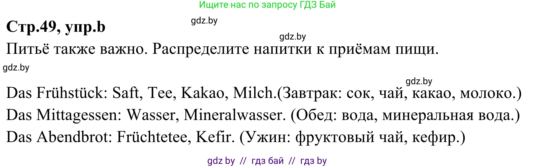 Немецкий язык (Deutsch), 5 класс Учебник (Schülerbuch), авторы: Будько Антонина Филипповна (Budjko Antonina), Урбанович Инна Ювинальевна (Urbanowitsch Ina), издательство Вышэйшая школа, Минск, 2020, жёлтого цвета, Часть 1, страница 49, номер 2b, Решение 2