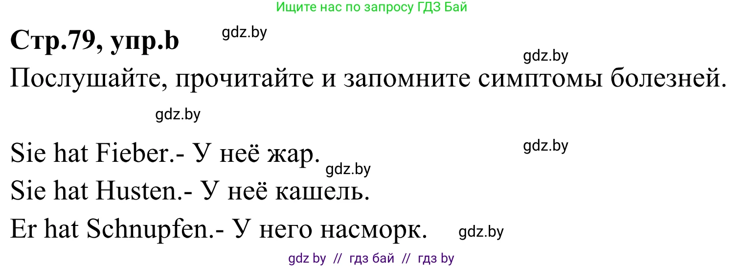 Немецкий язык (Deutsch), 5 класс Учебник (Schülerbuch), авторы: Будько Антонина Филипповна (Budjko Antonina), Урбанович Инна Ювинальевна (Urbanowitsch Ina), издательство Вышэйшая школа, Минск, 2020, жёлтого цвета, Часть 1, страница 79, номер 3b, Решение 2