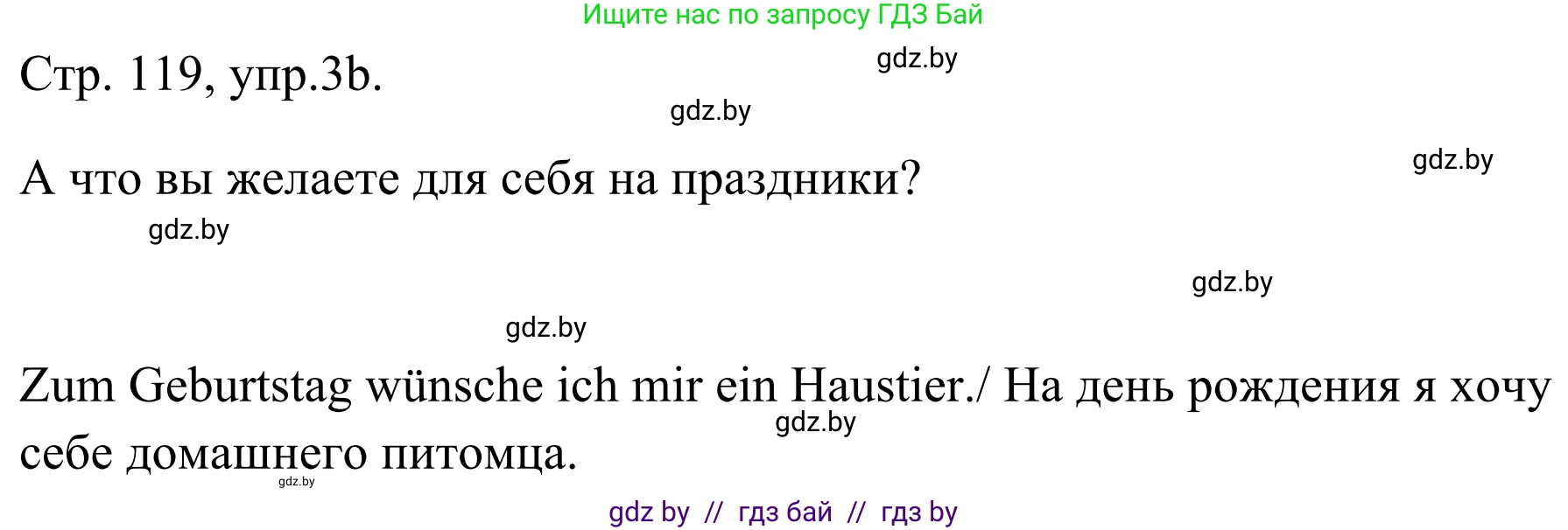 Немецкий язык (Deutsch), 5 класс Учебник (Schülerbuch), авторы: Будько Антонина Филипповна (Budjko Antonina), Урбанович Инна Ювинальевна (Urbanowitsch Ina), издательство Вышэйшая школа, Минск, 2020, жёлтого цвета, Часть 1, страница 119, номер 3b, Решение 2