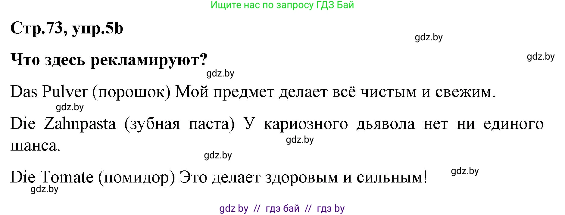 Немецкий язык (Deutsch), 5 класс Учебник (Schülerbuch), авторы: Будько Антонина Филипповна (Budjko Antonina), Урбанович Инна Ювинальевна (Urbanowitsch Ina), издательство Вышэйшая школа, Минск, 2020, жёлтого цвета, Часть 2, страница 73, номер 5b, Решение 1