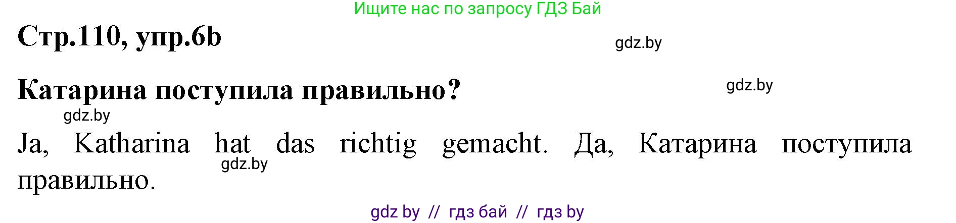 Немецкий язык (Deutsch), 5 класс Учебник (Schülerbuch), авторы: Будько Антонина Филипповна (Budjko Antonina), Урбанович Инна Ювинальевна (Urbanowitsch Ina), издательство Вышэйшая школа, Минск, 2020, жёлтого цвета, Часть 2, страница 110, номер 6b, Решение 1