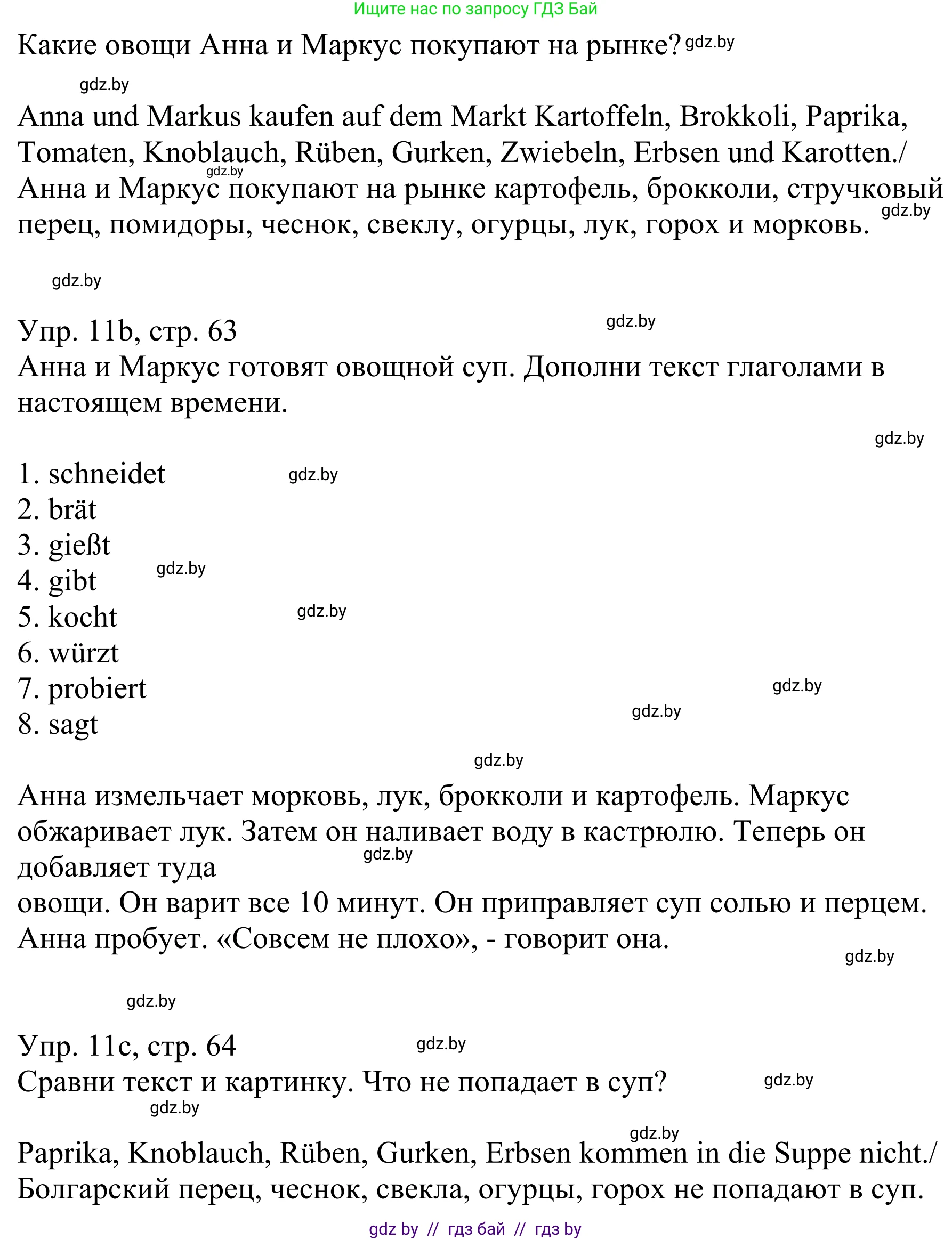 Немецкий язык (Deutsch), 6 класс рабочая тетрадь (arbeitsheft), авторы: Будько Антонина Филипповна (Budjko Antonina), Урбанович Инна Ювинальевна (Urbanowitsch Ina), издательство Аверсэв, Минск, 2020, красного цвета, страница 63, номер 11, Решение (продолжение 2)